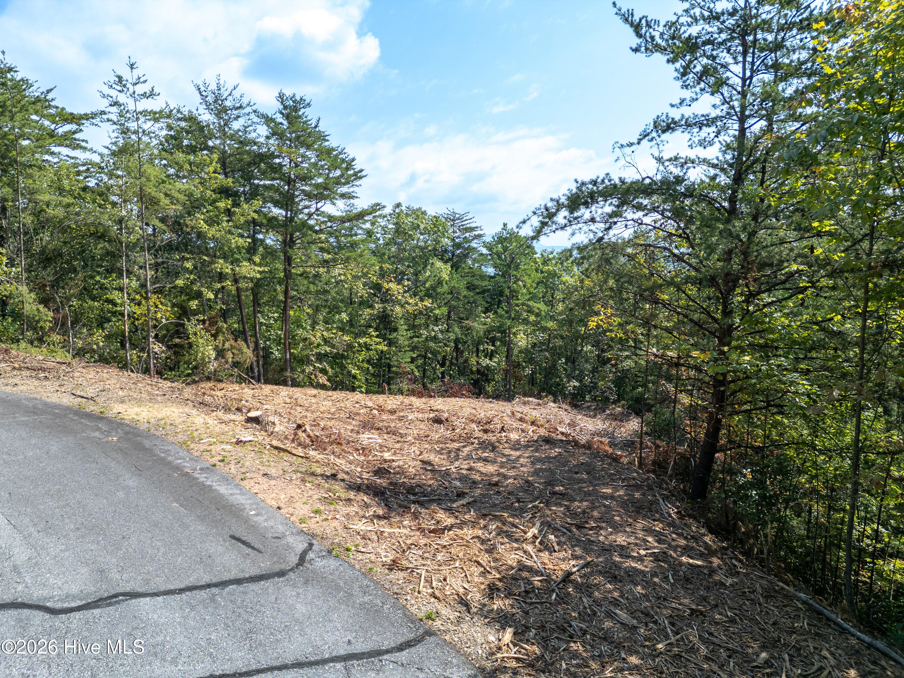 Residential Lot at Lot 156 Crossover Lane, Murphy, NC 28906, photo 7 of 24