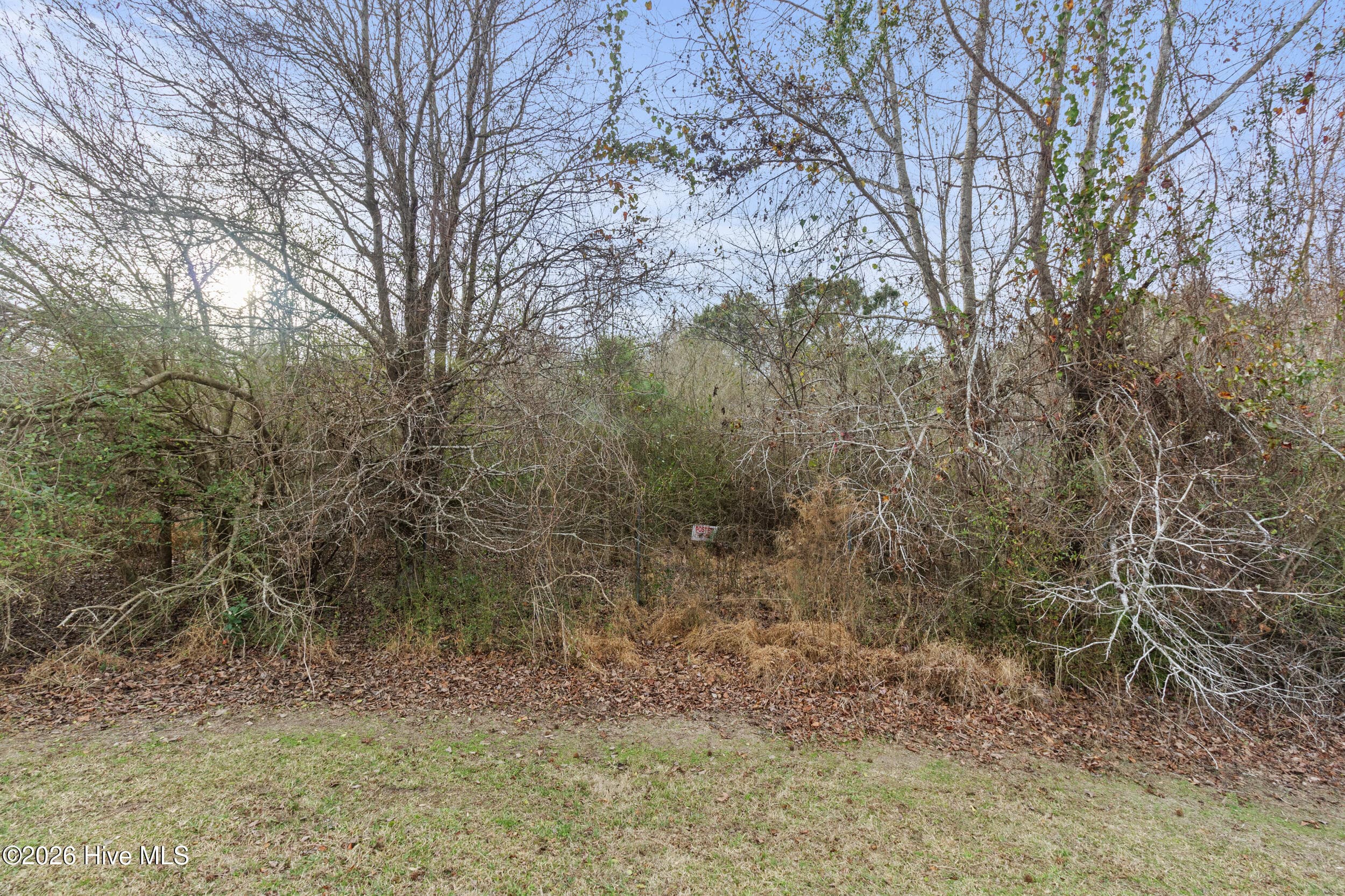 Undeveloped at 2711 Old Airport Road, New Bern, NC 28562, photo 5 of 23
