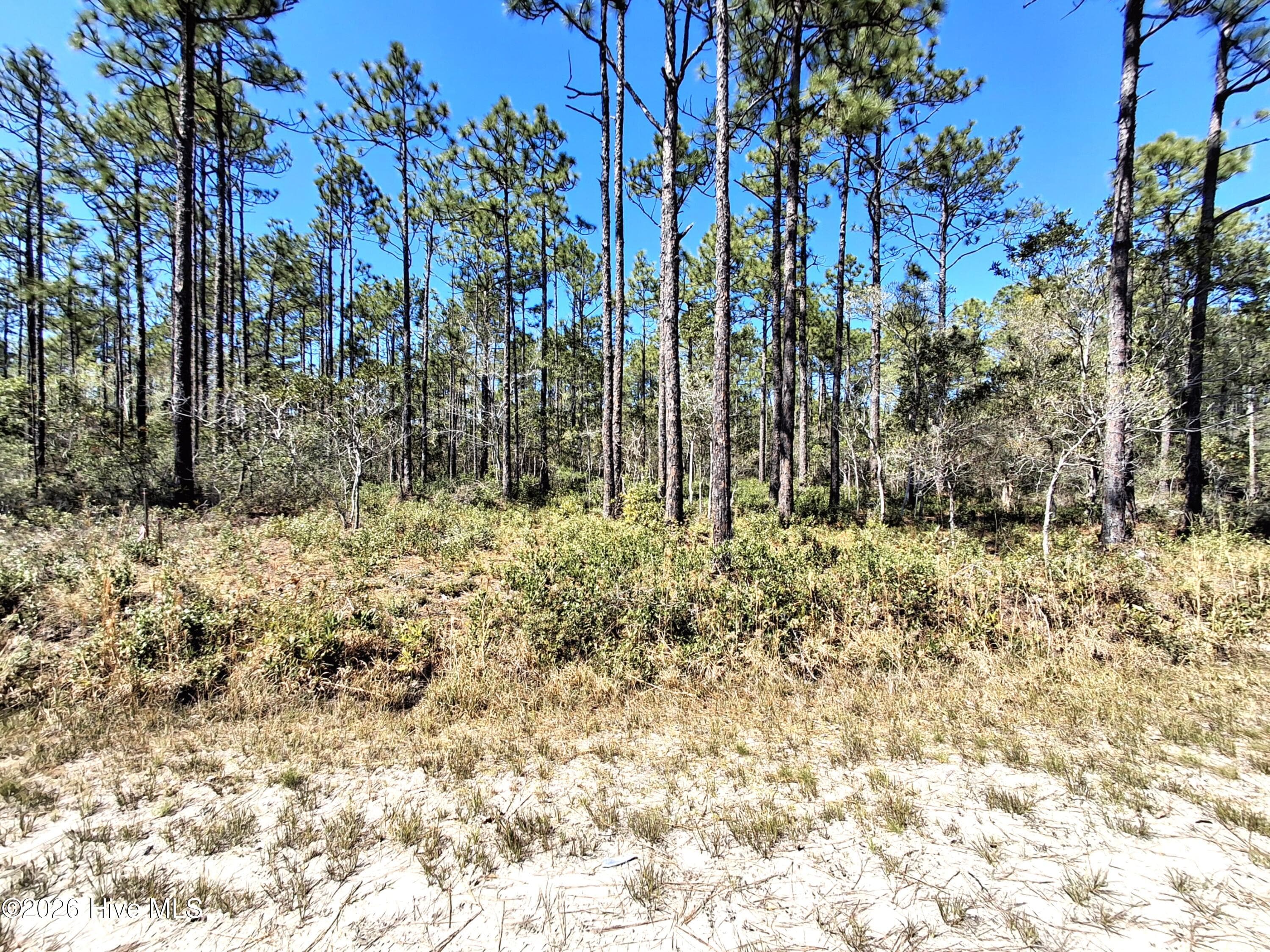 Lot 550 550 Crescent Road, Boiling Spring Lakes, NC 28461