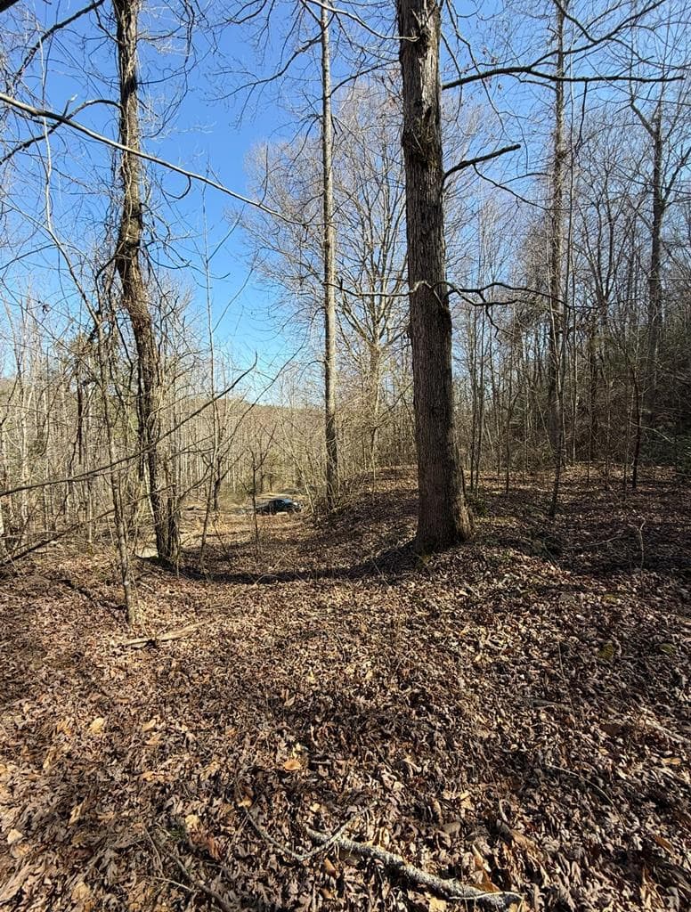 TBD Royal Oaks Trail, Brasstown, NC 28902