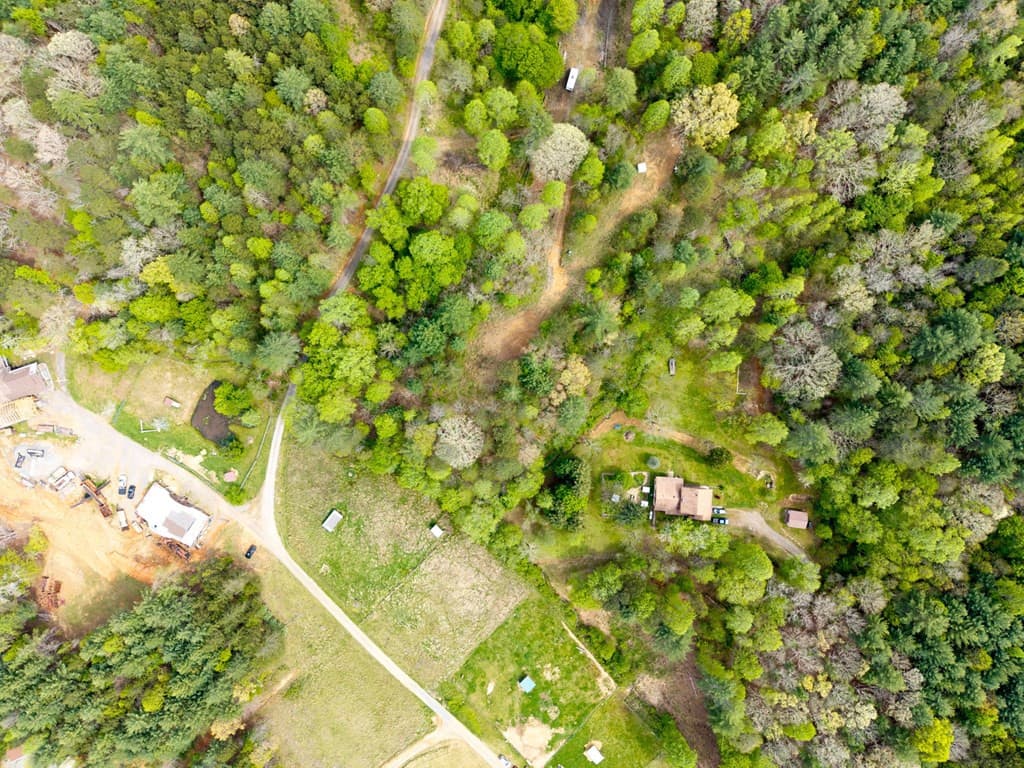 Wooded at 125 Milk And Honey Drive, Murphy, NC 28902, photo 6 of 23