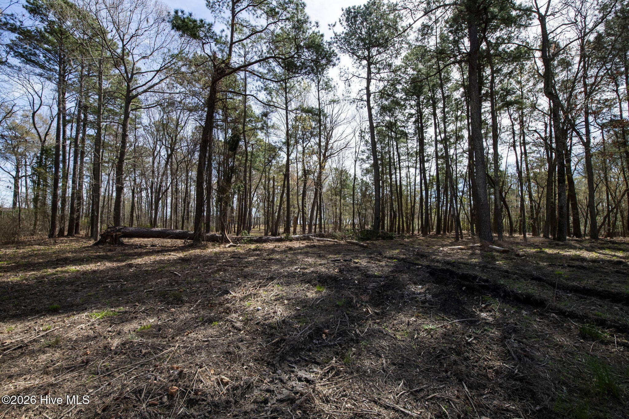 Lot 6 6 Peninsula Shores Way, Hertford, NC 27944