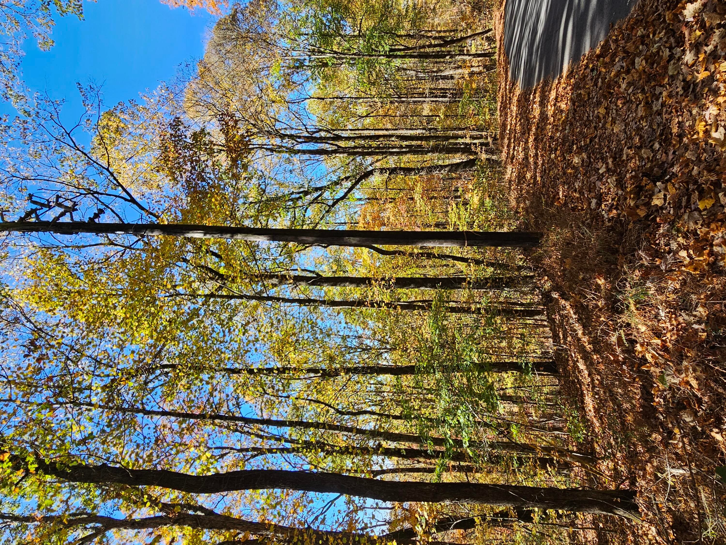 Undeveloped at 0 Confederate Drive, Clayton, GA 30525, photo 5 of 30