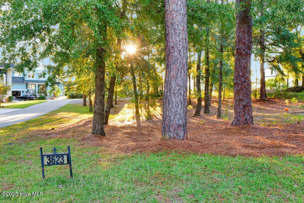 Double lot - in front of home - 3623 White Cliffs Drive, Castle Hayne, NC 28429