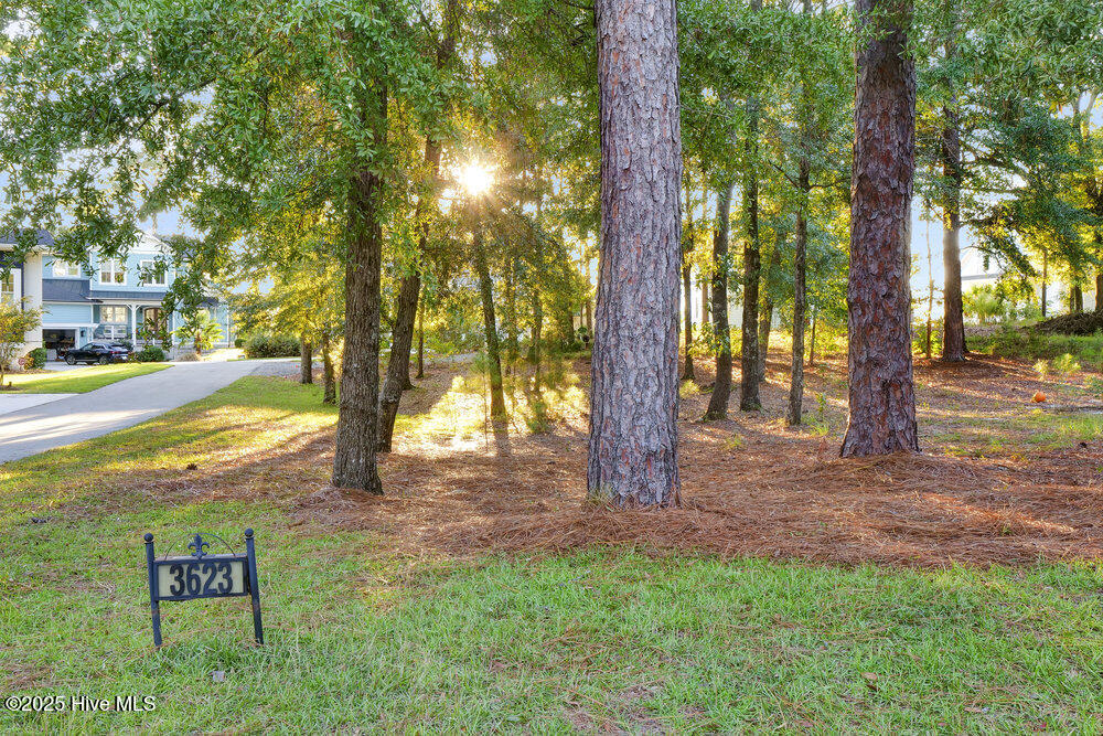 Double lot - in front of home - 3623 White Cliffs Drive, Castle Hayne, NC 28429