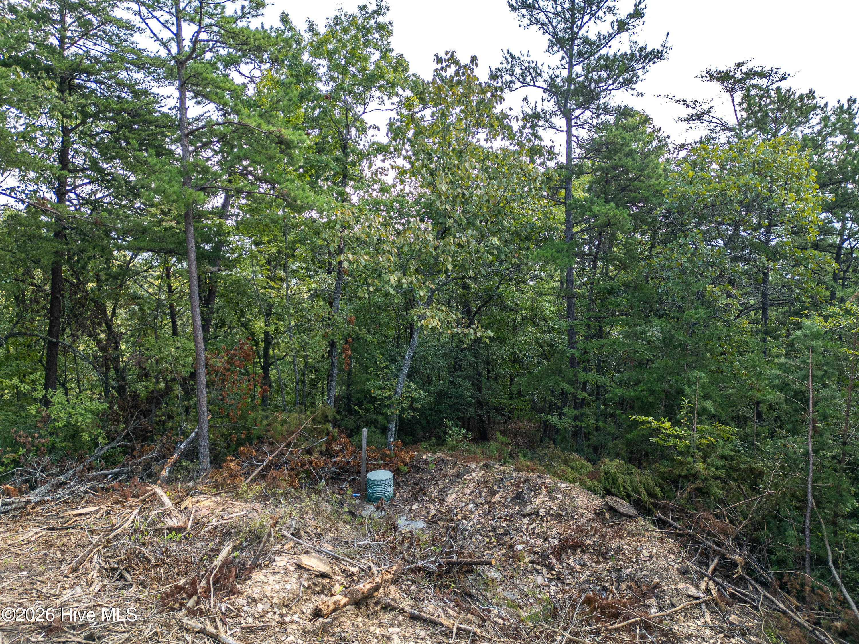 Residential Lot at Lot 156 Crossover Lane, Murphy, NC 28906, photo 10 of 24