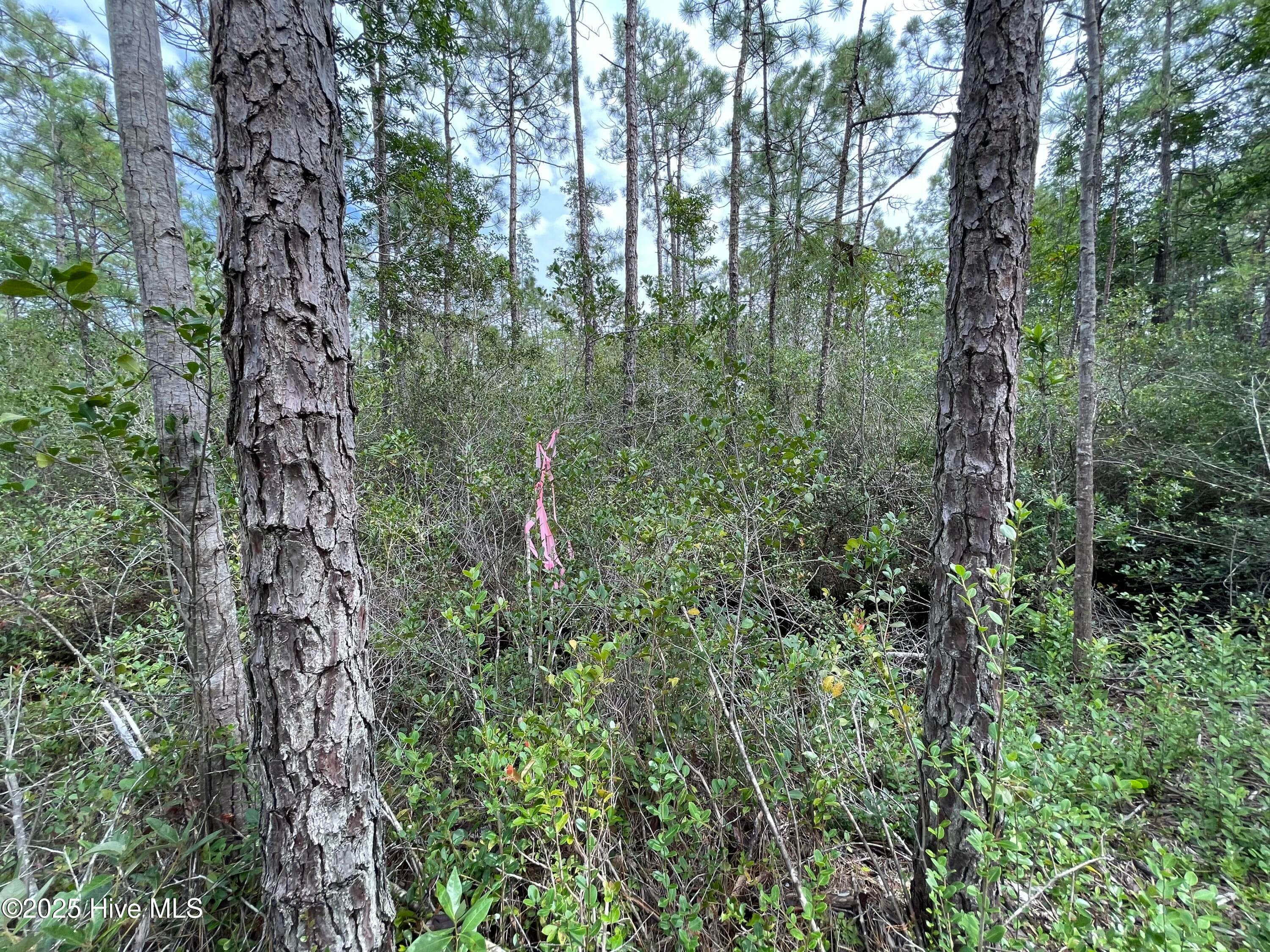 Residential Lot at 811 Brittany Road, Southport, NC 28461, photo 14 of 25