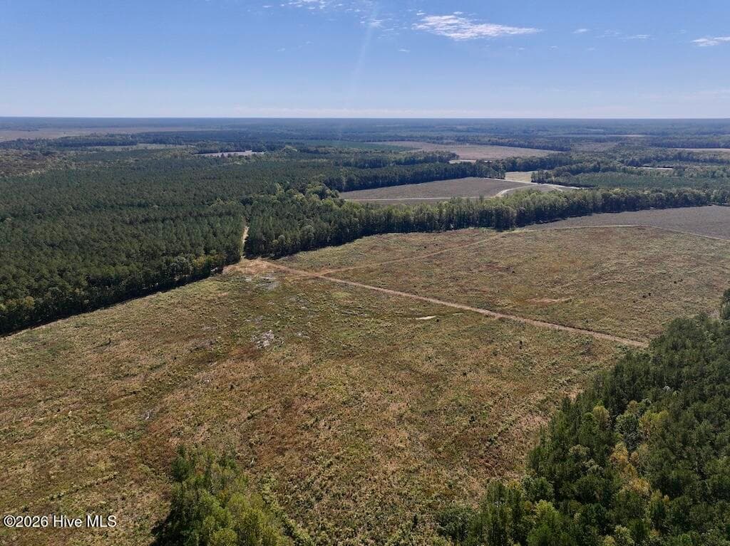 Mixed Use at 0 Spring Hill Road, Scotland Neck, NC 27874, photo 33 of 93