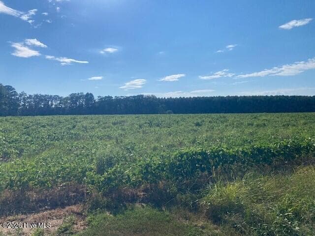 Undeveloped at 0 Stott Road, Bailey, NC 27807, photo 5 of 12