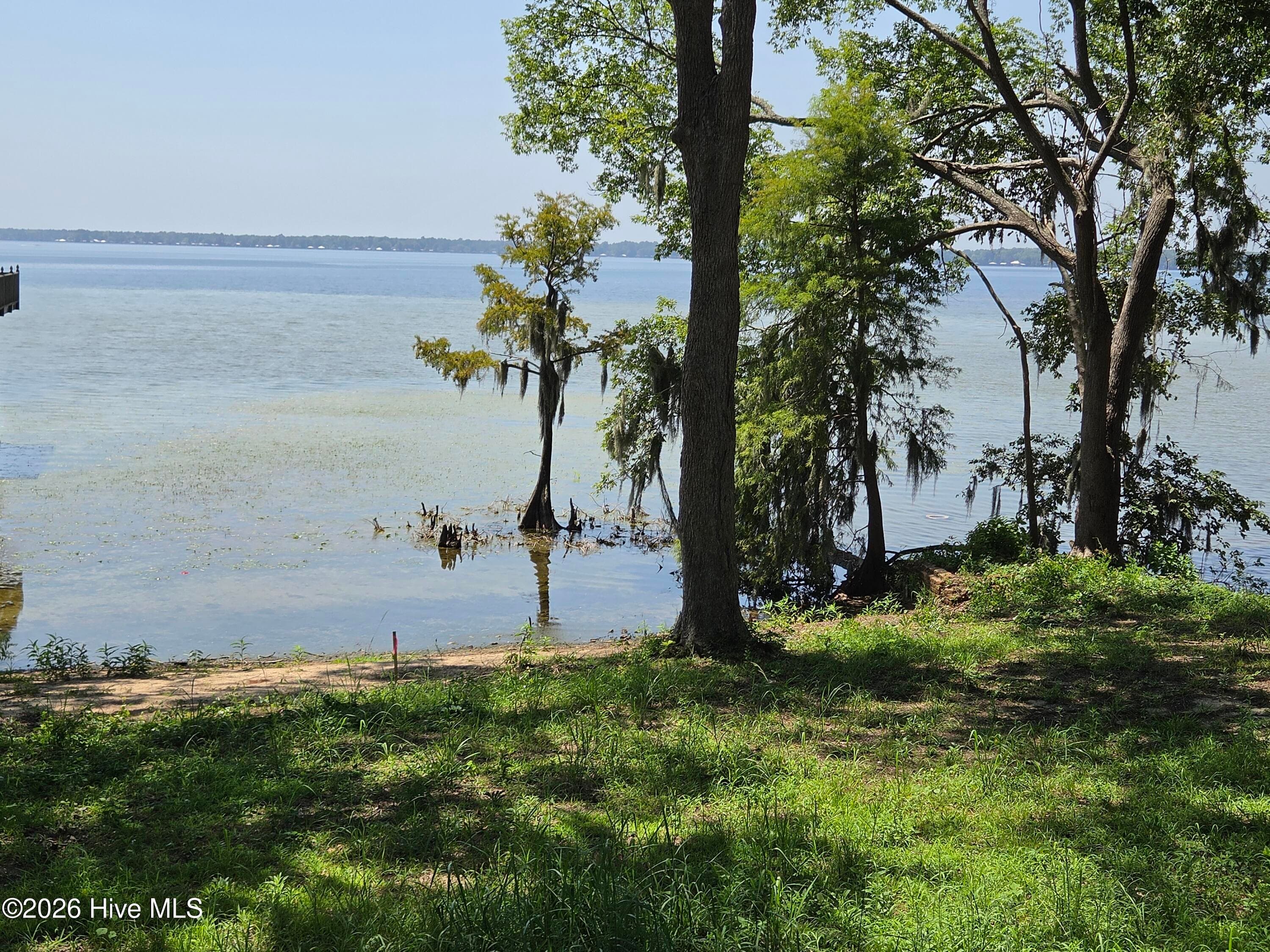 Residential Lot at Tbd Pine Street, Lake Waccamaw, NC 28450, photo 8 of 8