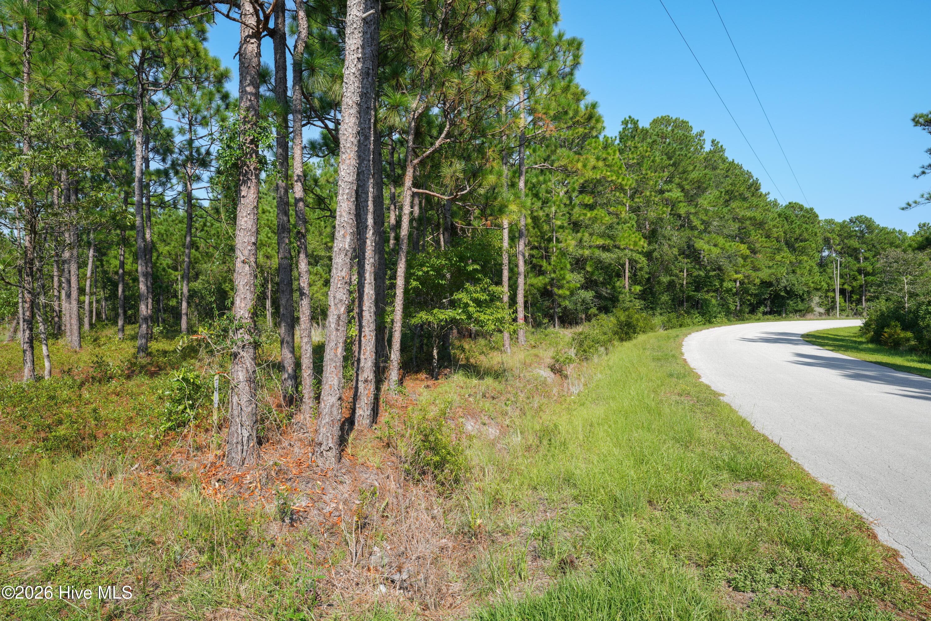 Undeveloped at 0000 Hines Stump Sound Church Road, Holly Ridge, NC 28445, photo 6 of 10