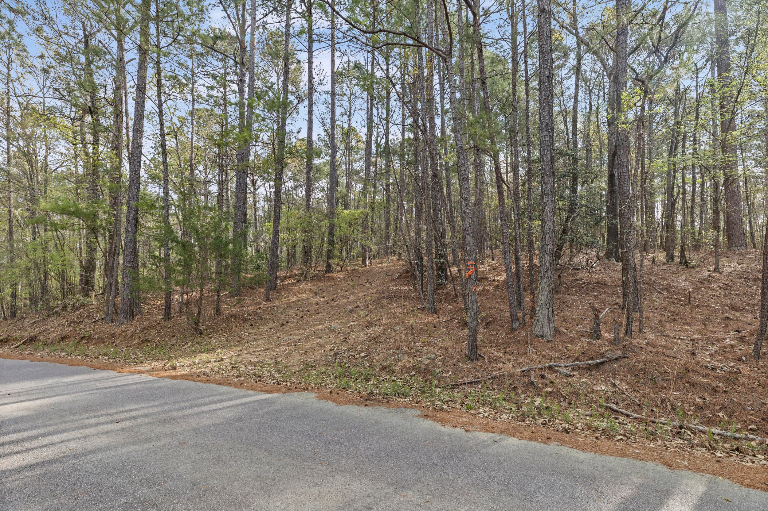 Residential Lot at 0 Lbk Circle, Tignall, GA 30668, photo 4 of 22