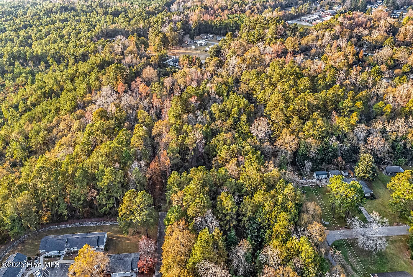 Residential Lot at 0 Woodrow Street, Tabor City, NC 28463, photo 4 of 11