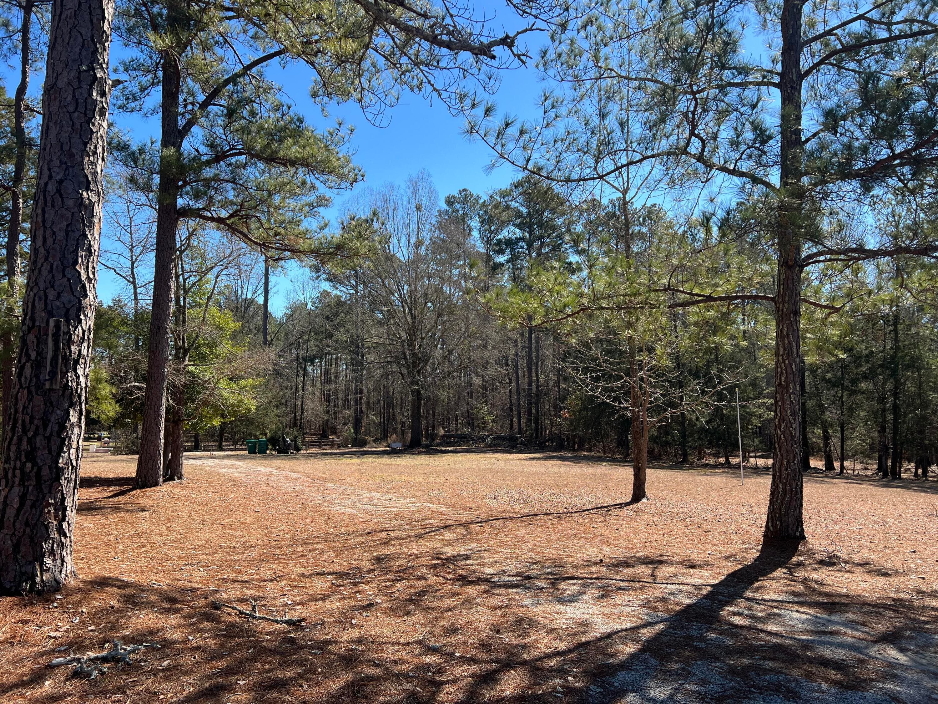 Residential Lot at 2369 Pine Ridge Drive, Appling, GA 30802, photo 3 of 9