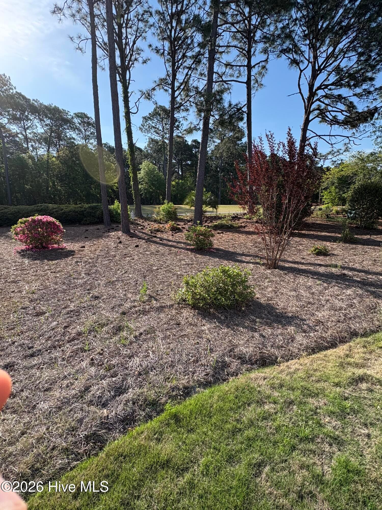 Single Family Residence at 308 Crooked Gulley Circle, Sunset Beach, NC 28468, photo 11 of 79