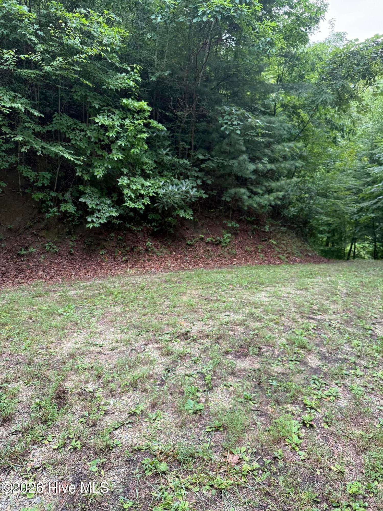 Lot 4 4 Mountain Vista Lane, Topton, NC 28781