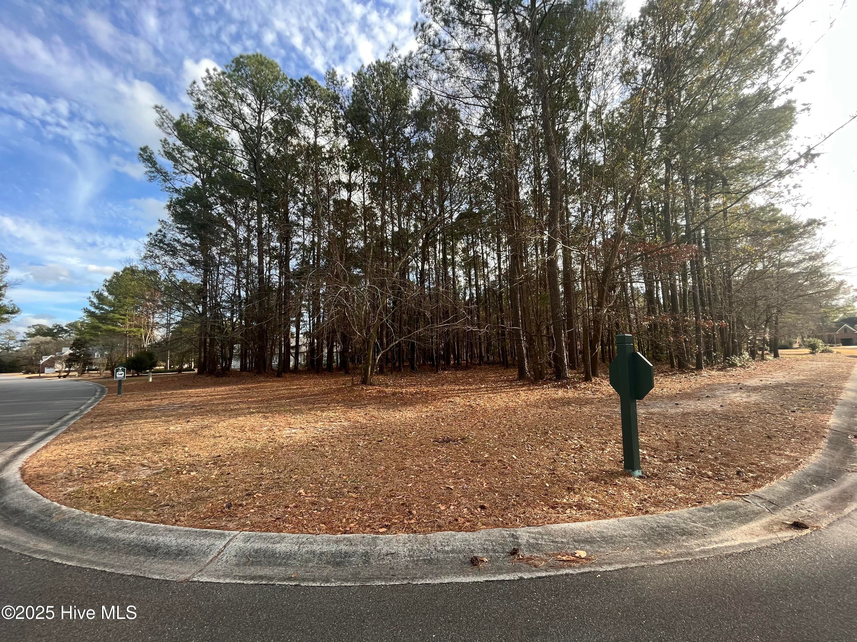 Residential Land at 264 Red Fox Run Drive, Wallace, NC 28466, photo 4 of 6