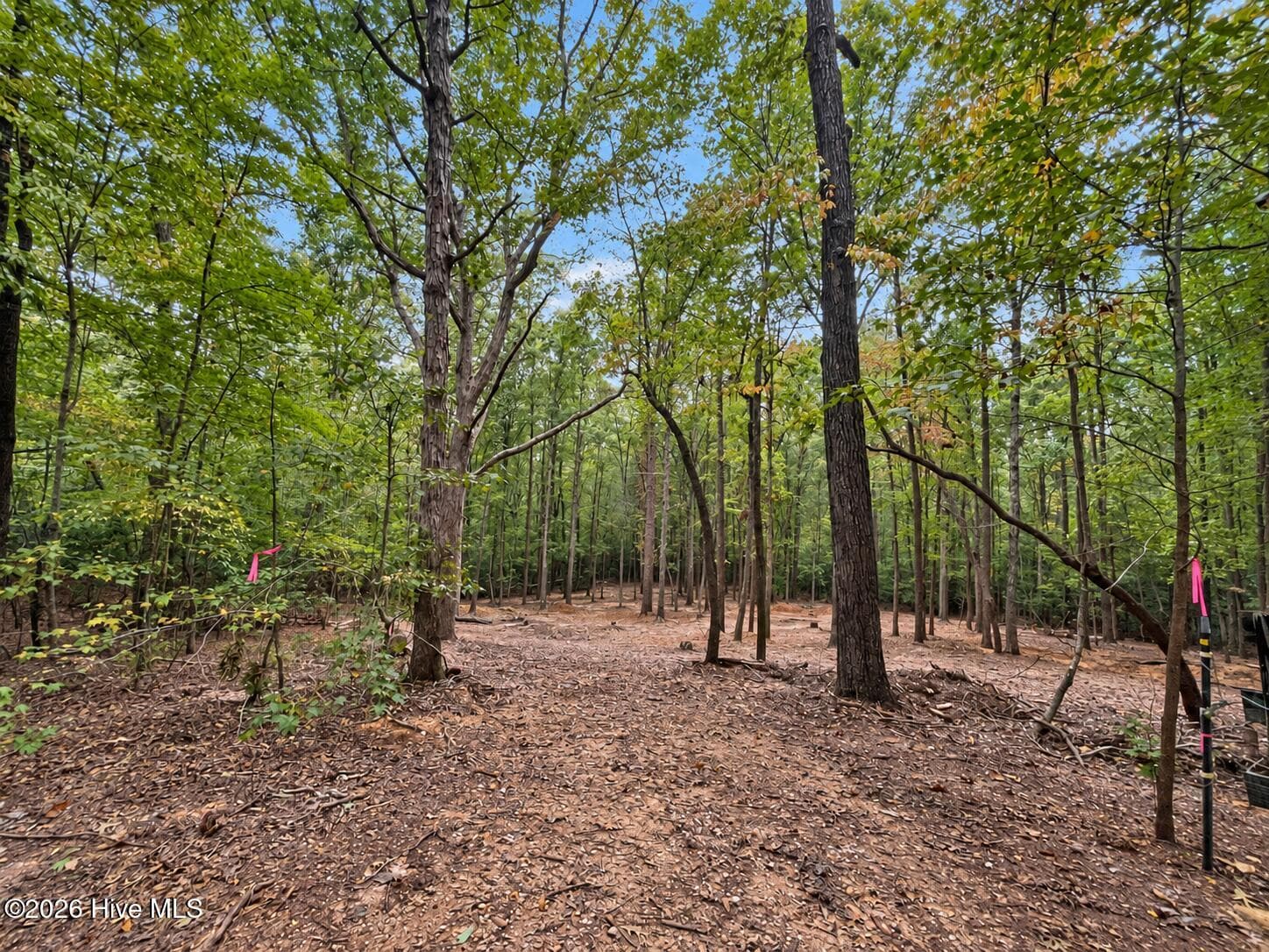 Residential Lot at 150 Morgan Circle, Carthage, NC 28327, photo 2 of 20