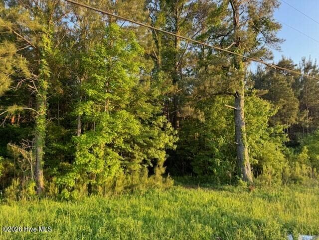 Unimproved Land at 53 Nc Hwy 53, Burgaw, NC 28425, photo 8 of 11