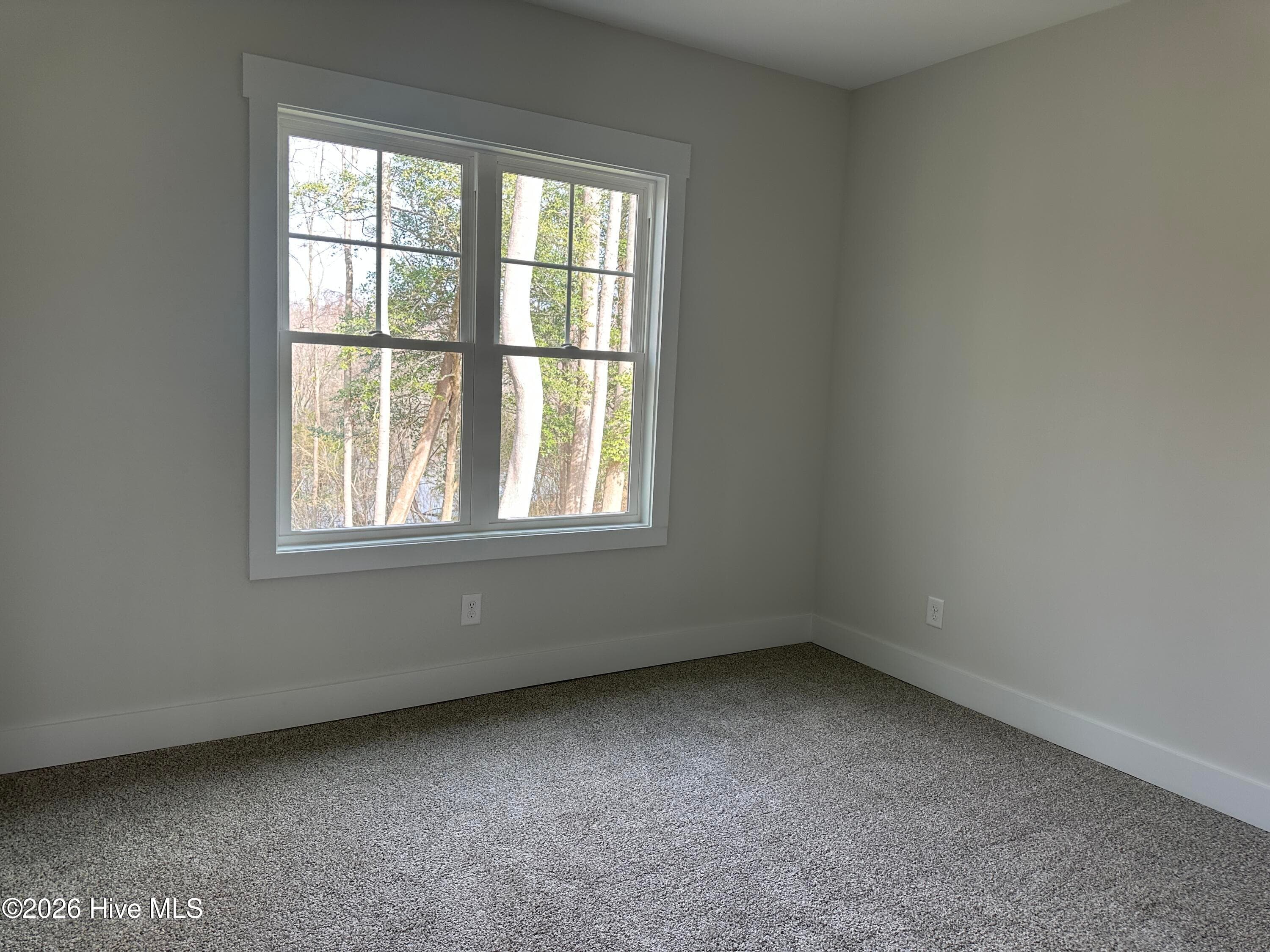 Single Family Residence at 307 Coffman Drive Lot 130, Pikeville, NC 27863, photo 3 of 5