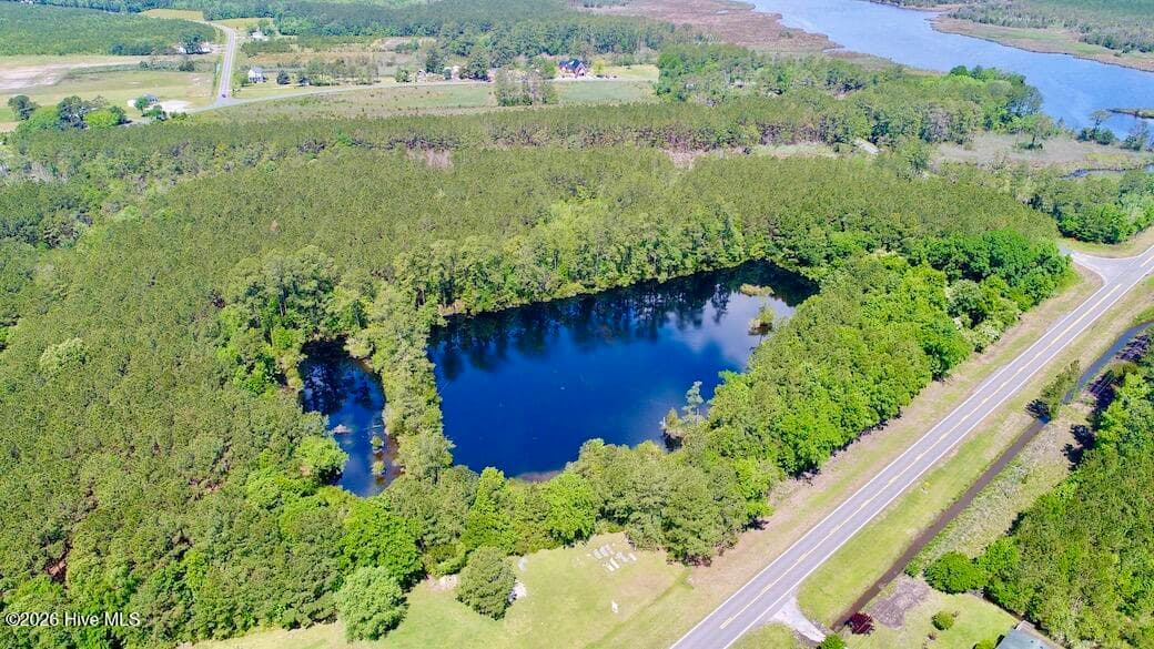 Undeveloped at 3926 Old Us Highway 264, Scranton, NC 27875, photo 6 of 23