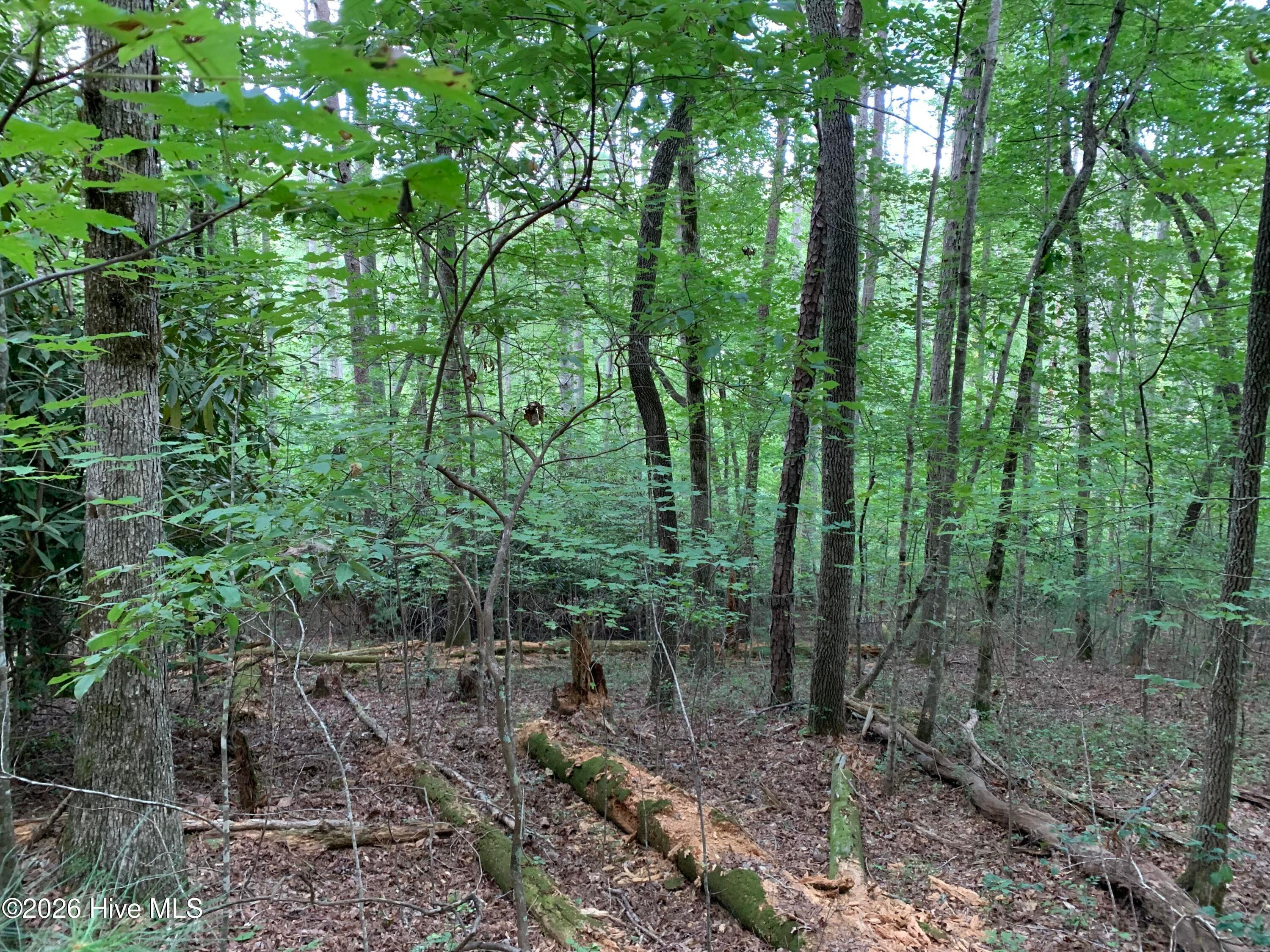 Wooded at 2.87 Ac Hedden Road, Murphy, NC 28906, photo 6 of 14