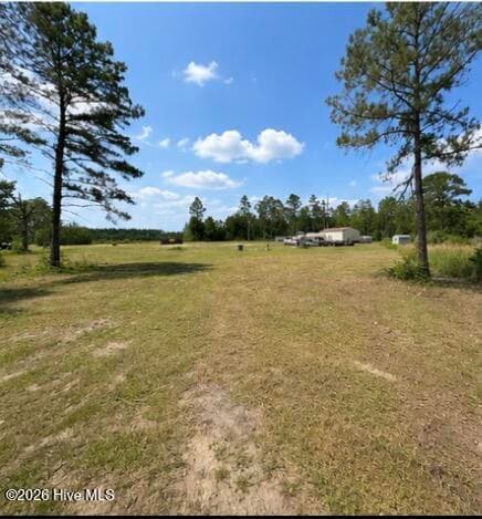 Mixed Use at 1087 Green Morgan Sch Road, Springfield, GA 31329, photo 6 of 10