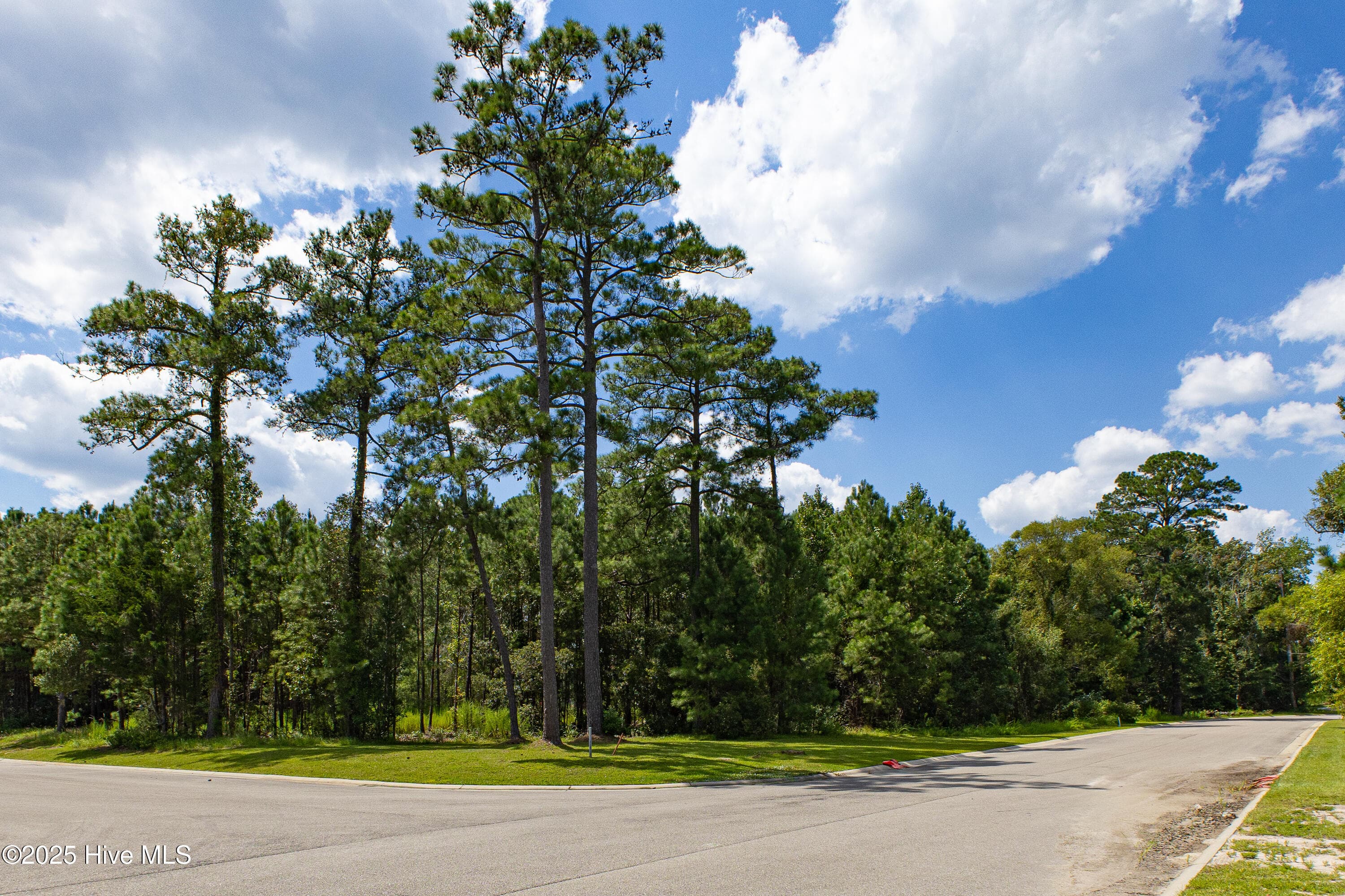 Wooded at 1559 125 N Bimini Road, Shallotte, NC 28470, Shallotte, photo 15 of 16
