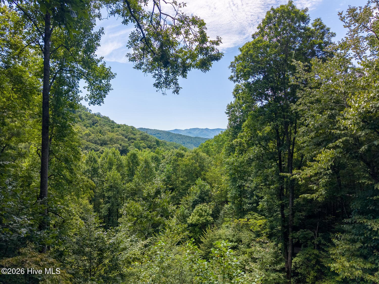 Single Family Residence at 204 Mountain Laurel Drive, Bryson City, NC 28713, Bryson City, photo 55 of 73