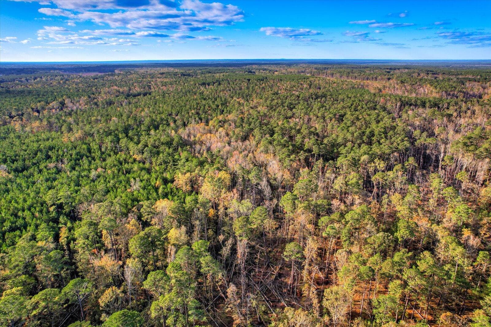 Undeveloped at Tbd2 Sc-23, Edgefield, SC 29824, photo 31 of 41