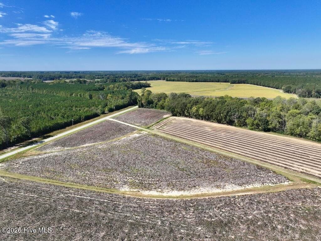 Mixed Use at 0 Spring Hill Road, Scotland Neck, NC 27874, photo 41 of 93