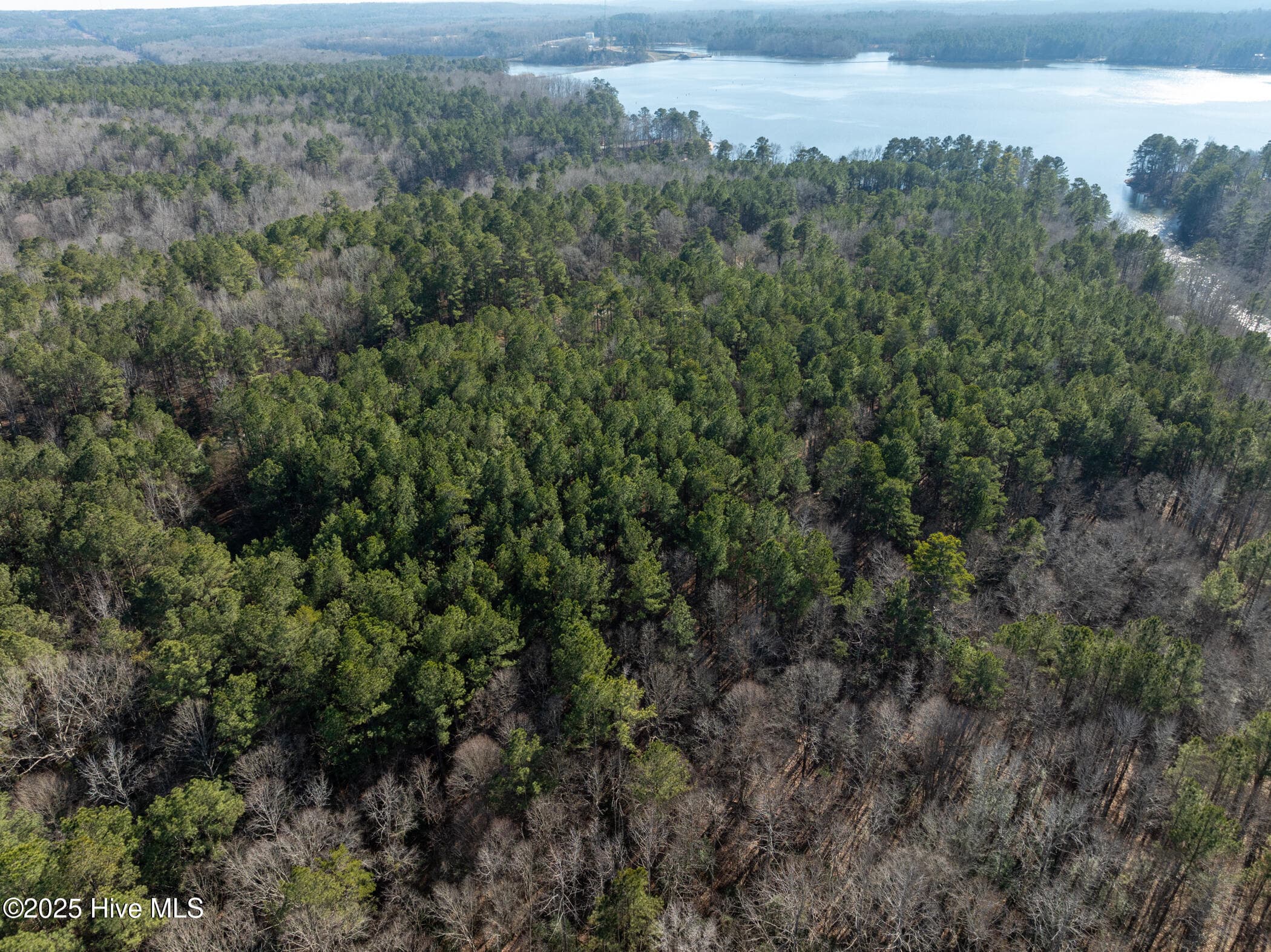 Residential Lot at 141 N State Lane, Rockingham, NC 28379, photo 11 of 17