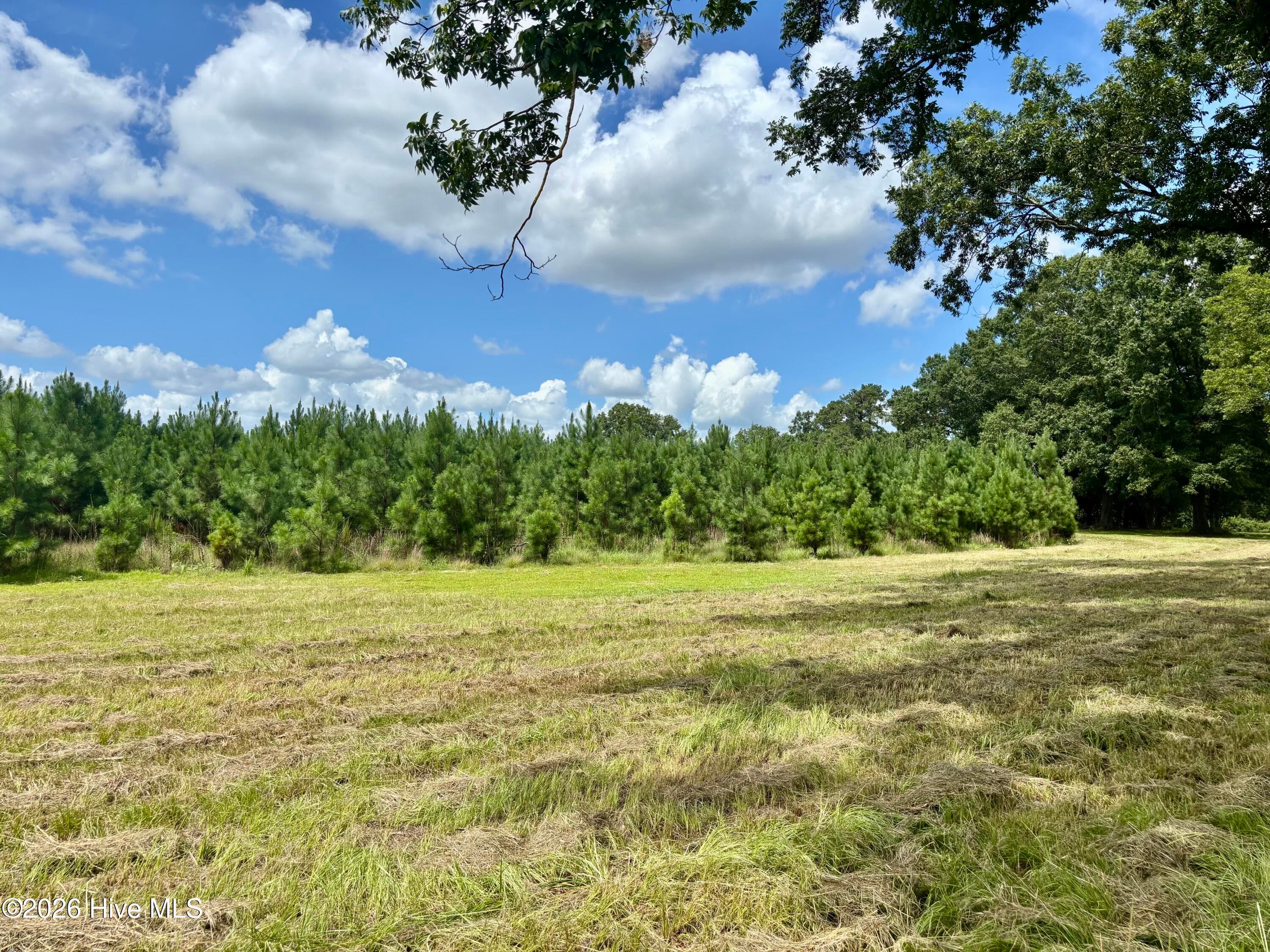 Undeveloped at Tbd Roberdel School Road, Rockingham, NC 28379, photo 5 of 6