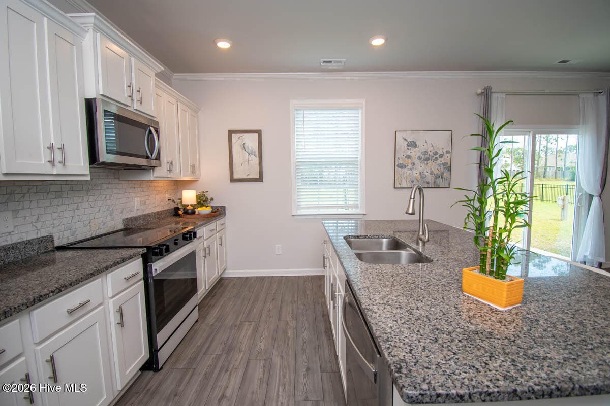 Single Family Residence at 271 Jones Ridge Lane Lot 51, Newport, NC 28570, photo 11 of 44
