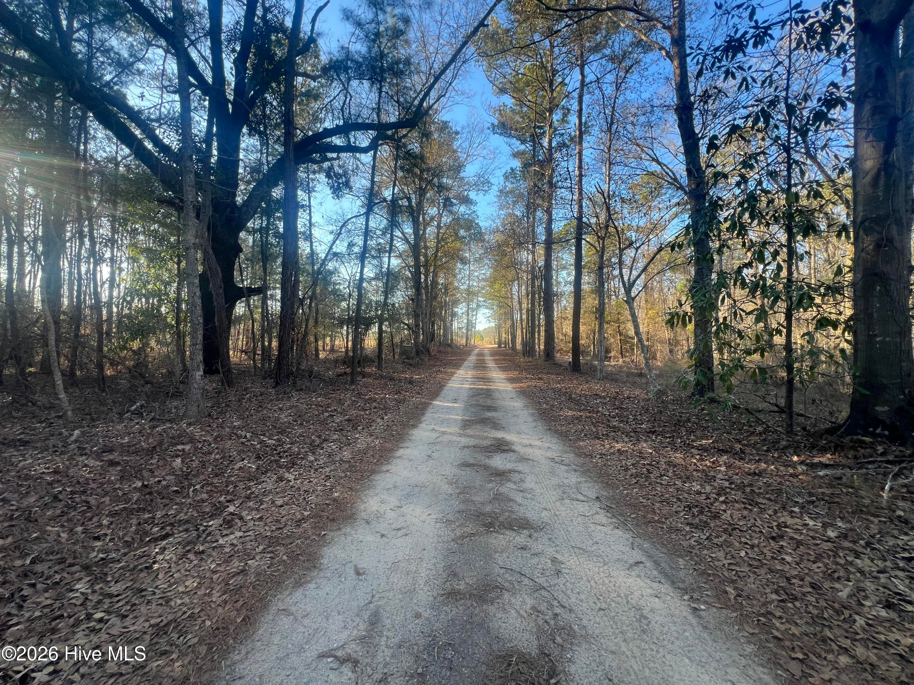 Undeveloped at 22701 Highway 129, Cobbtown, GA 30420, photo 7 of 10