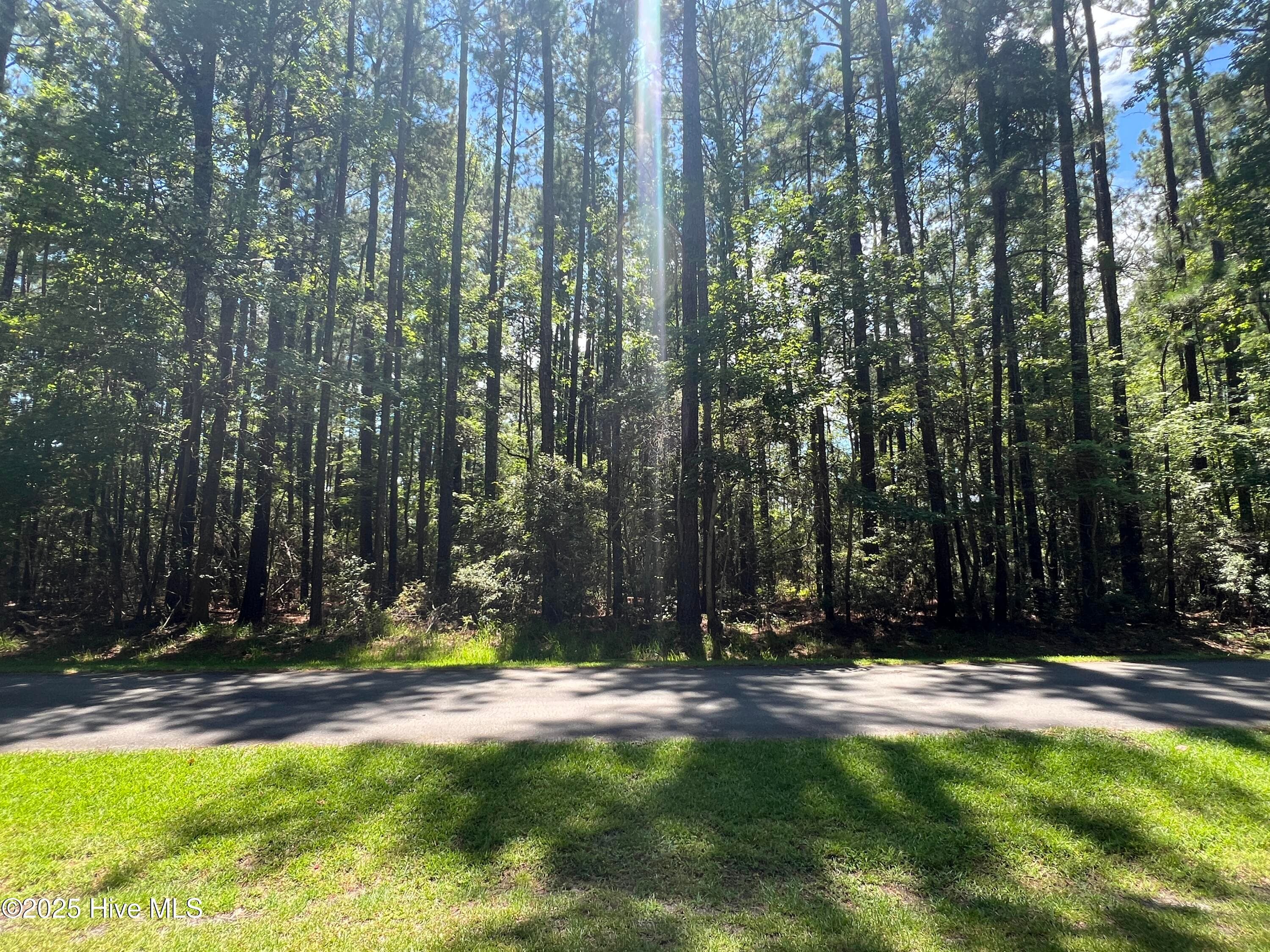 Residential Lot at 9918 Canady Landing Road, Aurora, NC 27806, photo 4 of 12