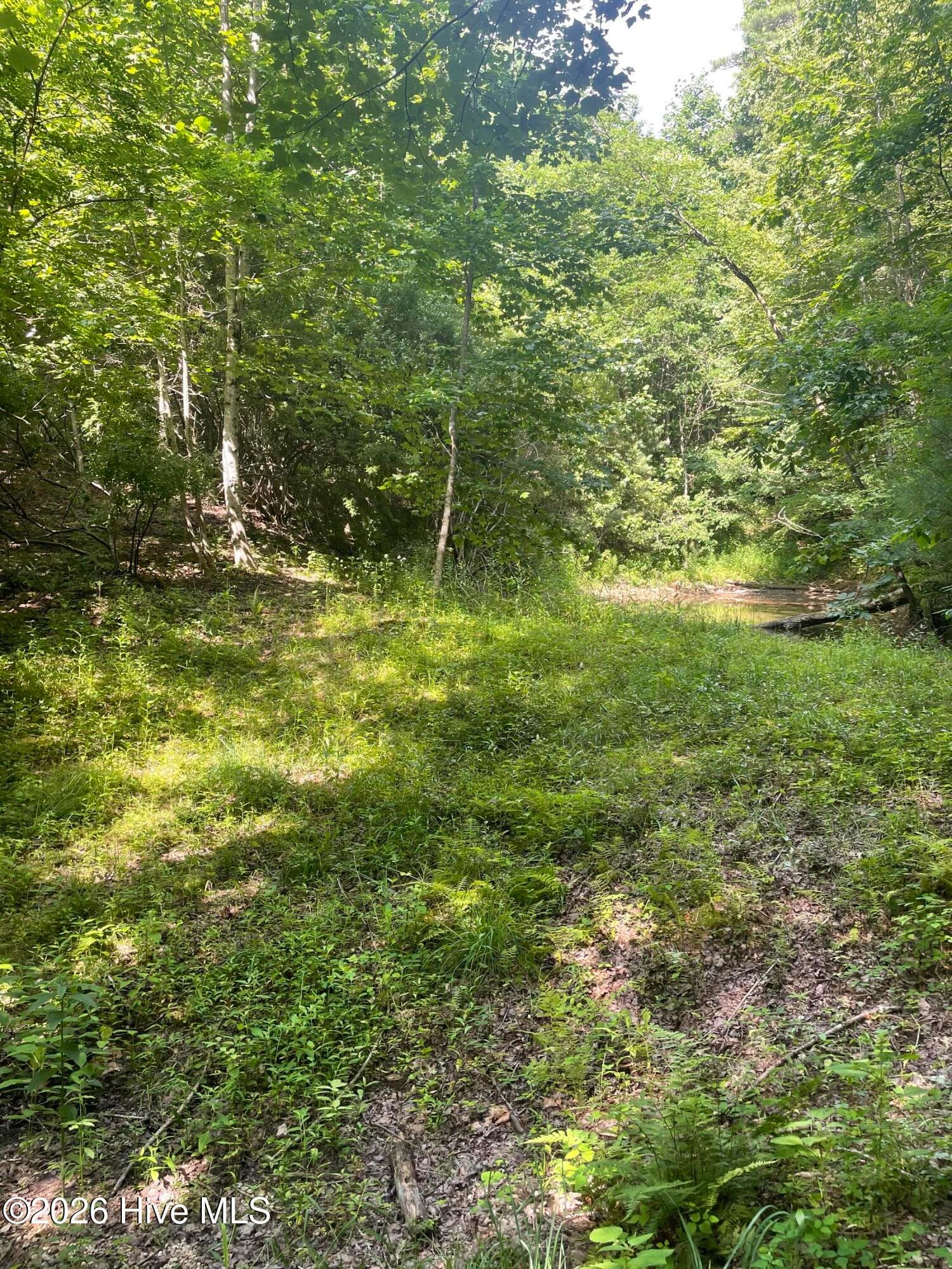Residential Lot at 6 15-H Hidden Lakes Road, Topton, NC 28781, photo 5 of 6