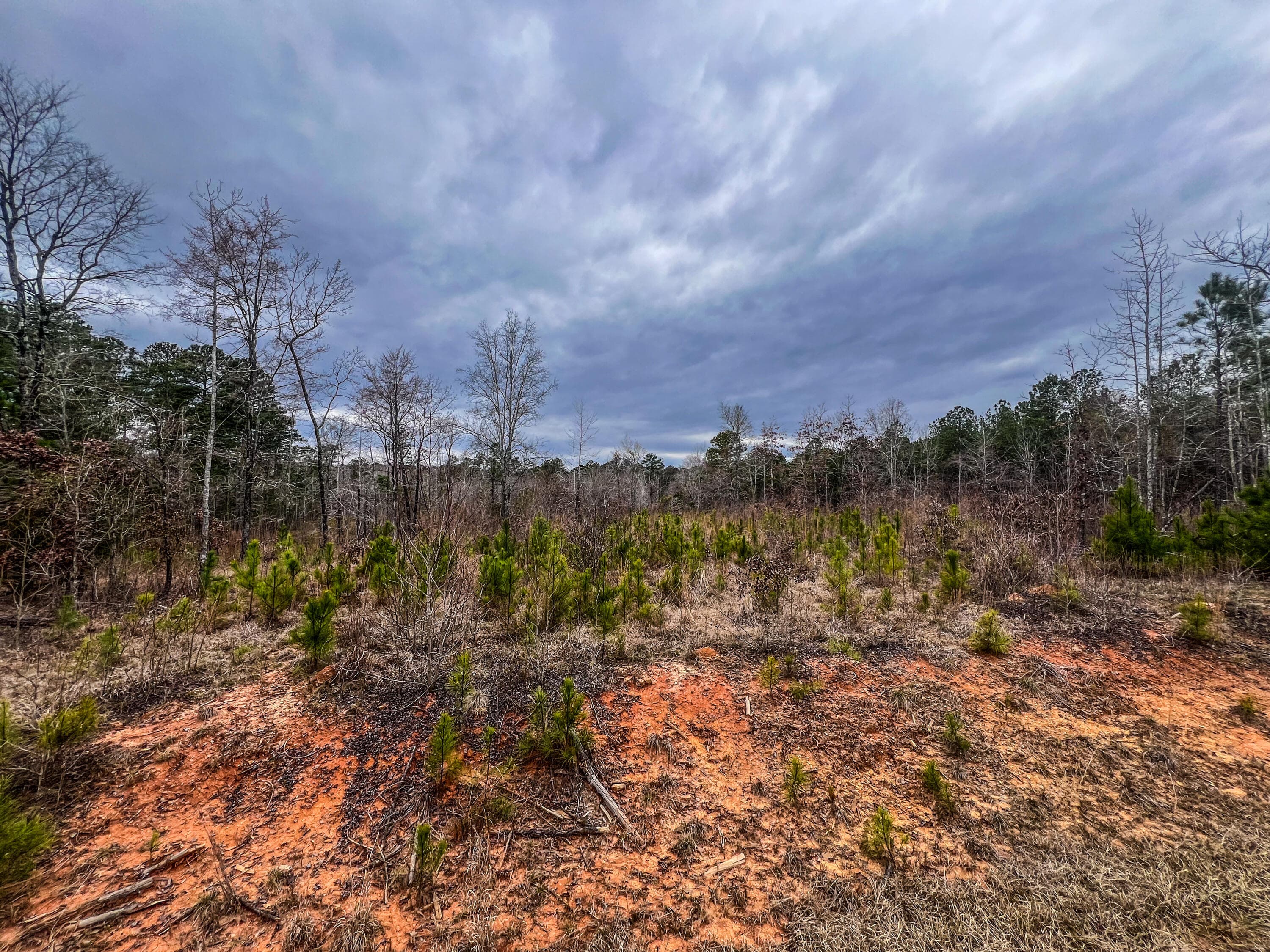 Residential Lot at 1080 Serenity Pointe Drive, Lincolnton, GA 30817, photo 2 of 9