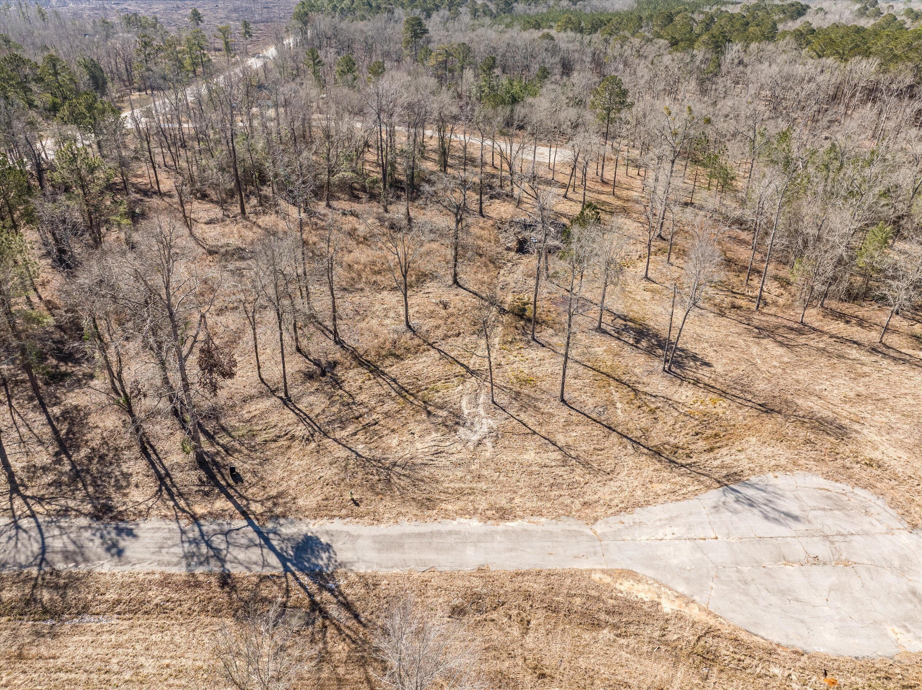 Residential Lot at 141 Big Rock Road, Thomson, GA 30824, photo 3 of 4