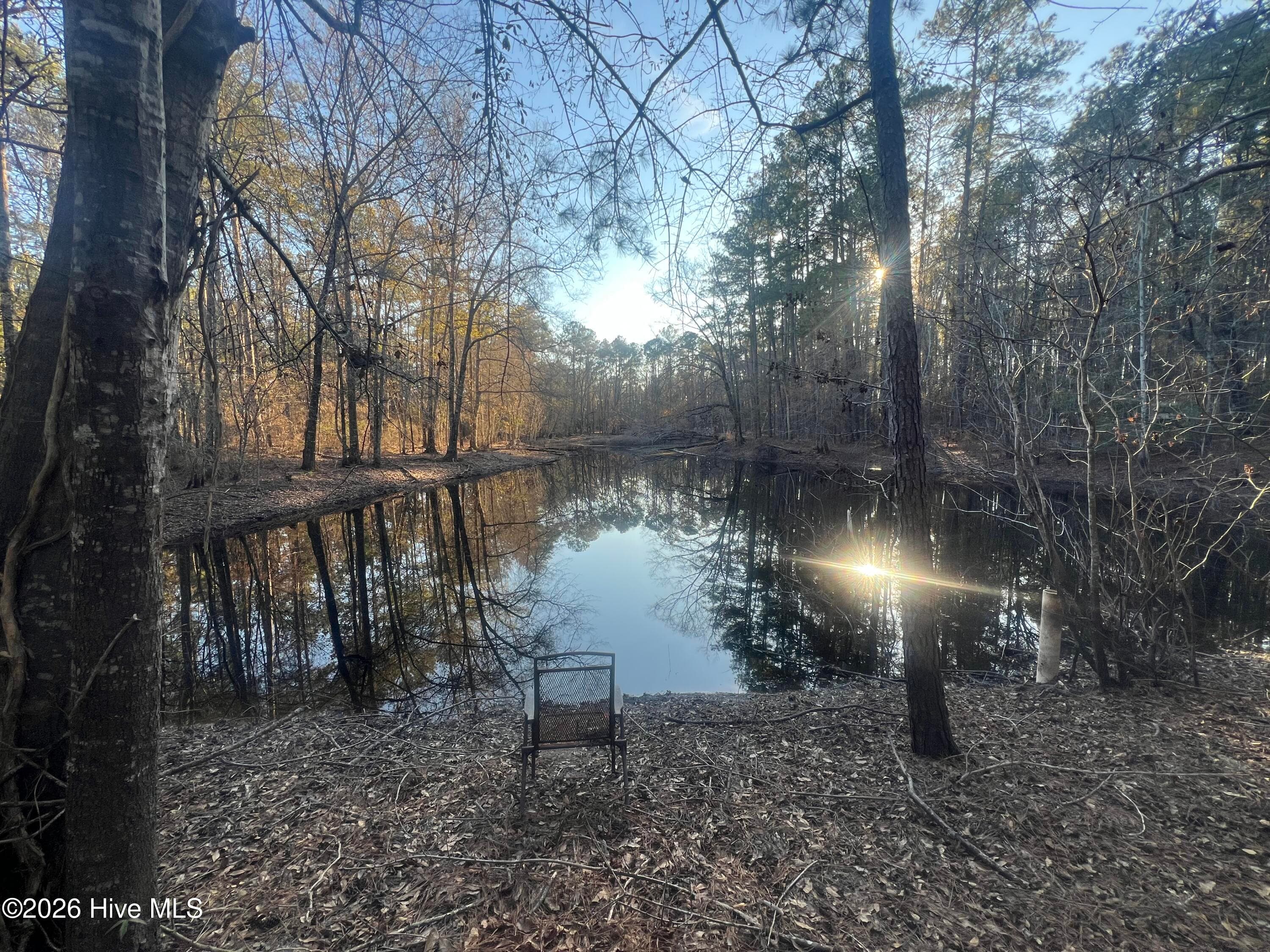 Undeveloped at 22701 Highway 129, Cobbtown, GA 30420, photo 9 of 10