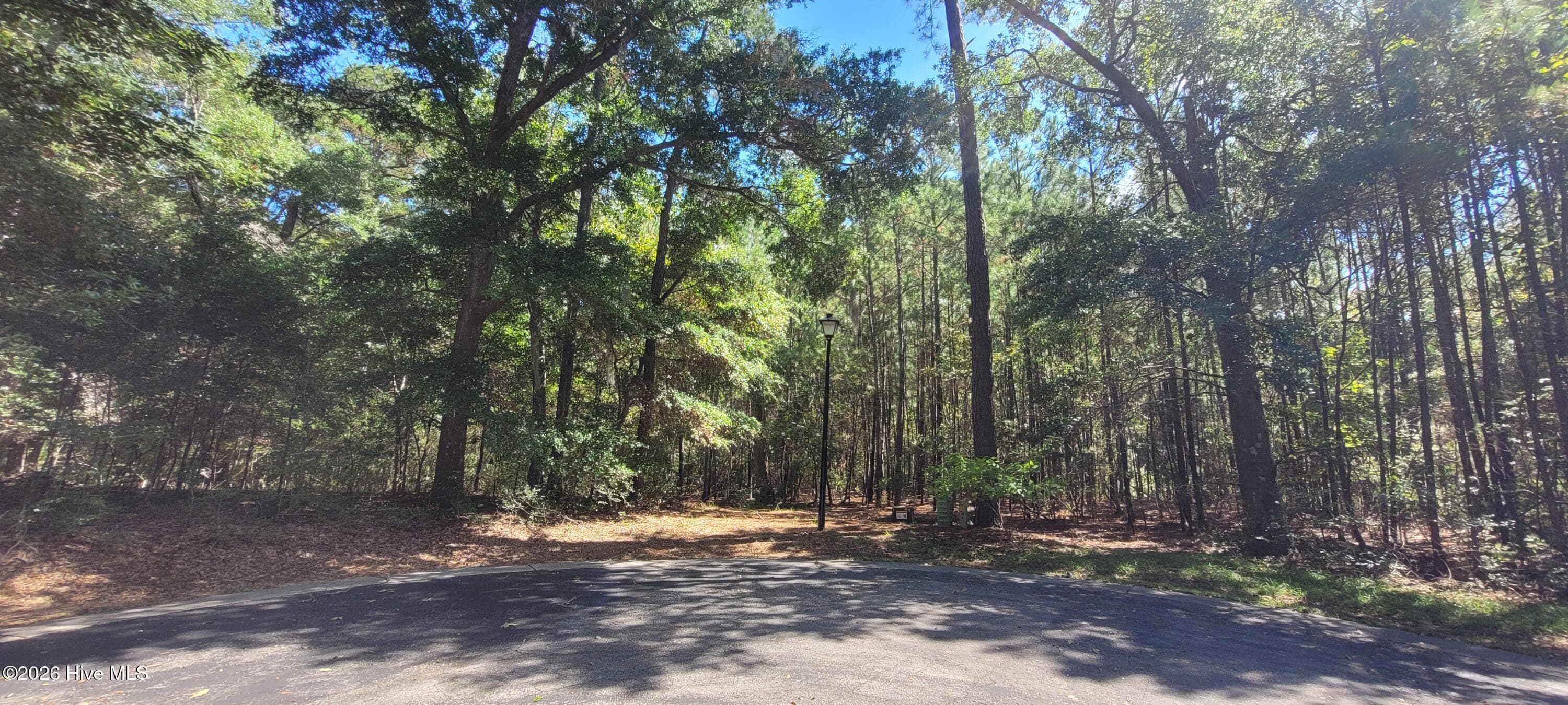 Residential Lot at 3570 15 & 16 Red Berry Court SW, Supply, NC 28462, photo 2 of 14
