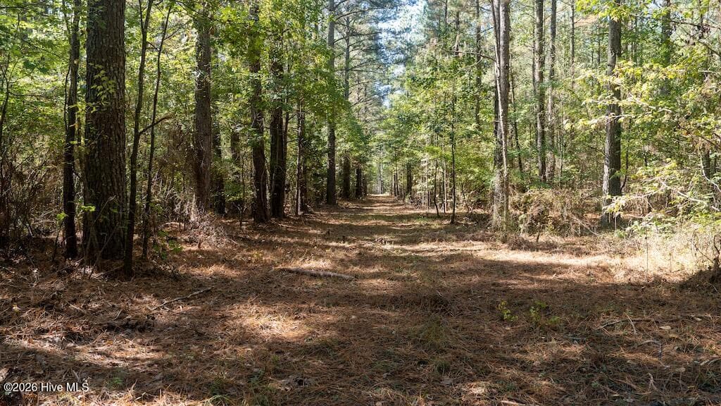 Mixed Use at 0 Spring Hill Road, Scotland Neck, NC 27874, photo 38 of 93