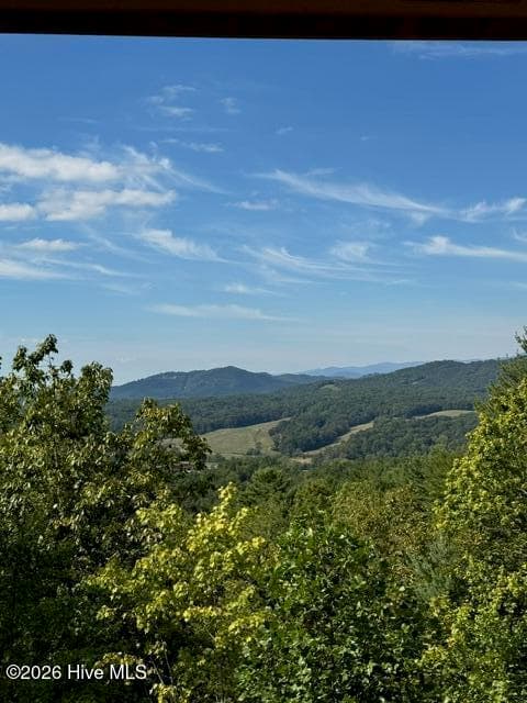 Single Family Residence at 430 Heritage Trail, Brasstown, NC 28902, photo 12 of 13