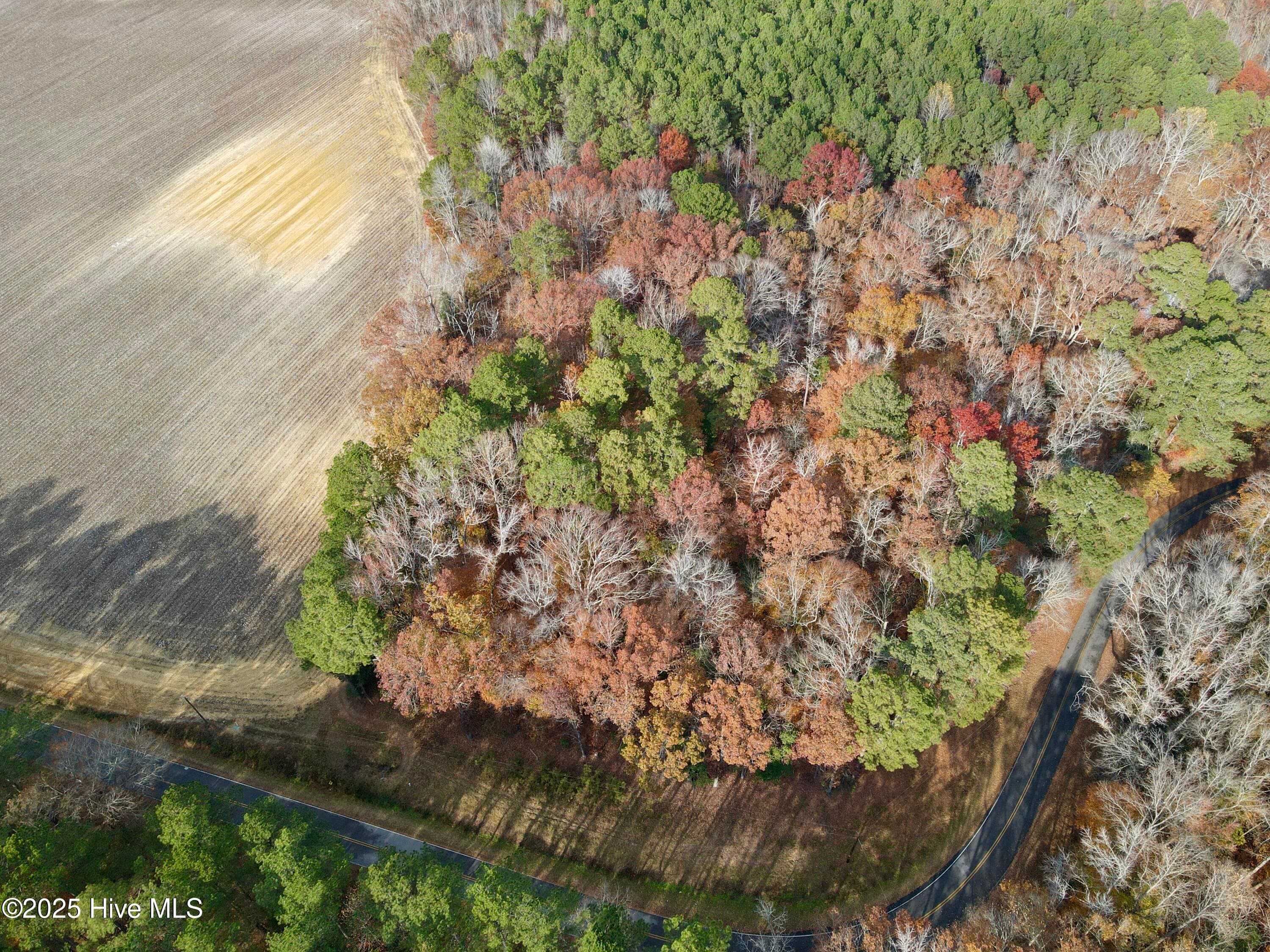 Wooded at 0 Williams Road, Williamston, NC 27892, photo 2 of 16