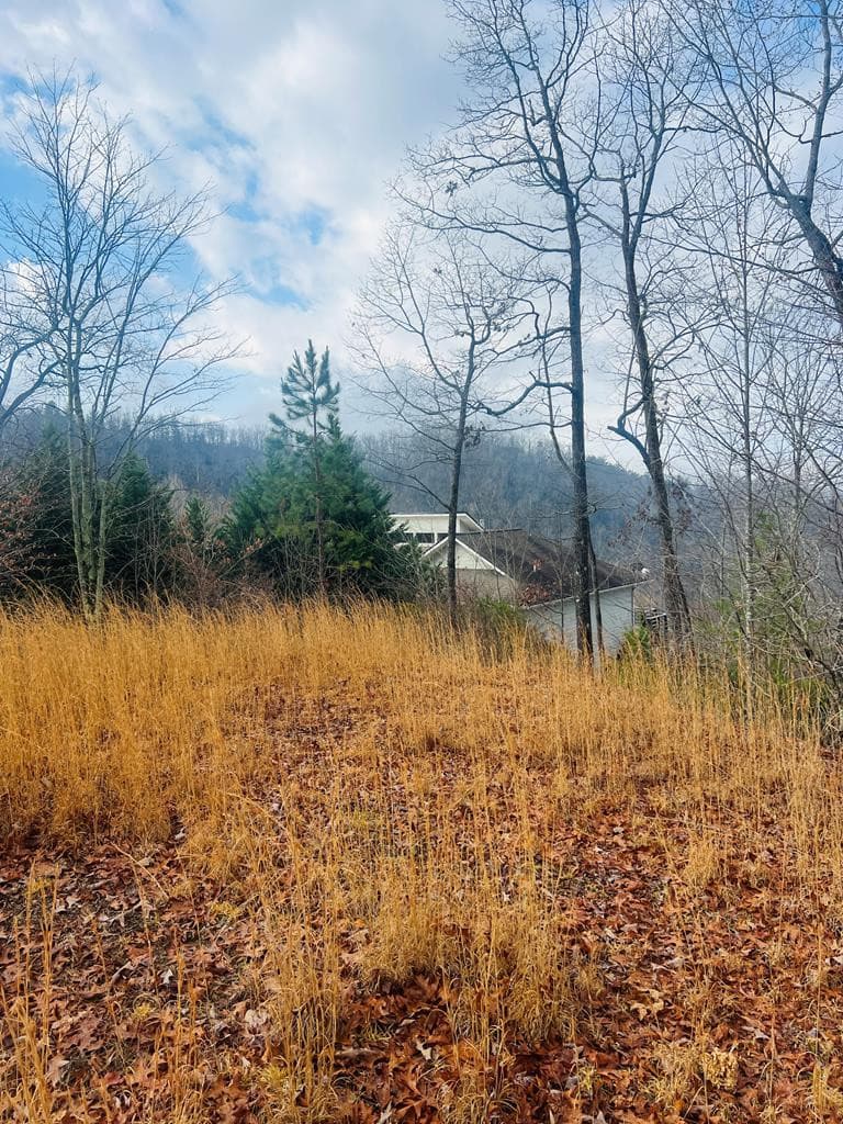 Residential Lot at 00 36 Aster Trail, Marble, NC 28905, photo 9 of 14