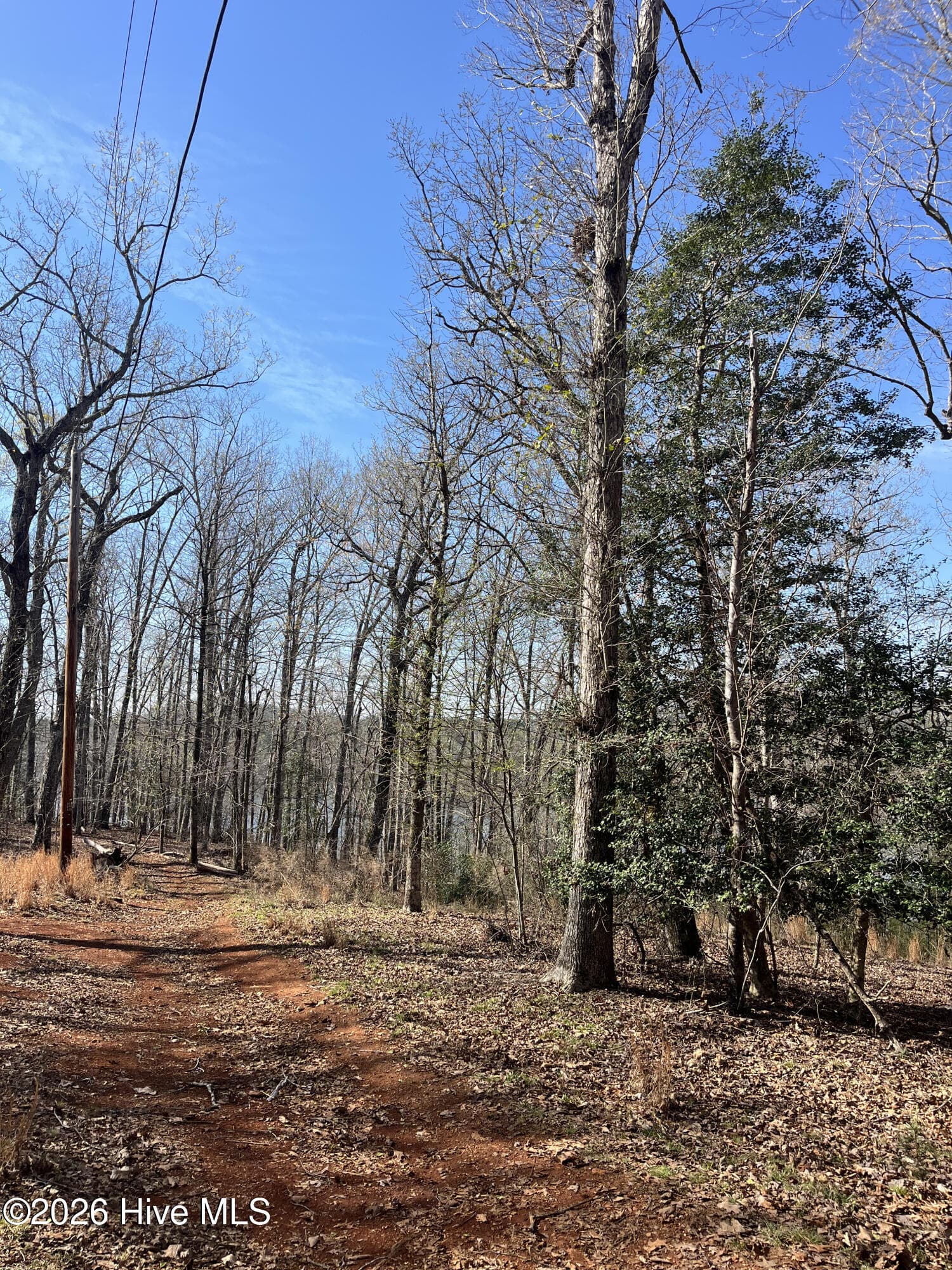Undeveloped at Tbd Haltiwanger Retreat Road, Troy, NC 27371, photo 13 of 21