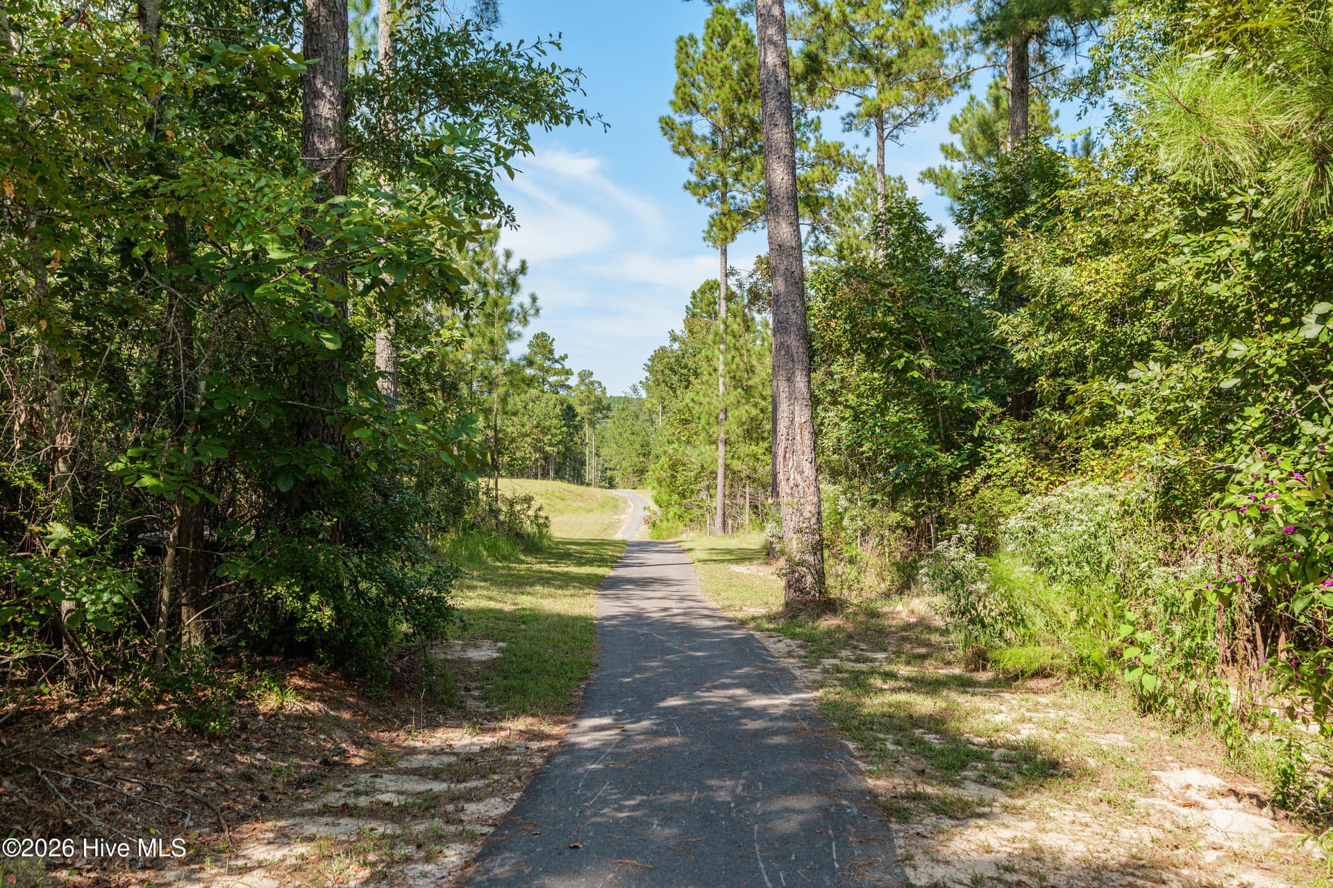 Single Family Residence at 1732 Bellingham Drive, Beech Island, SC 29842, photo 7 of 8