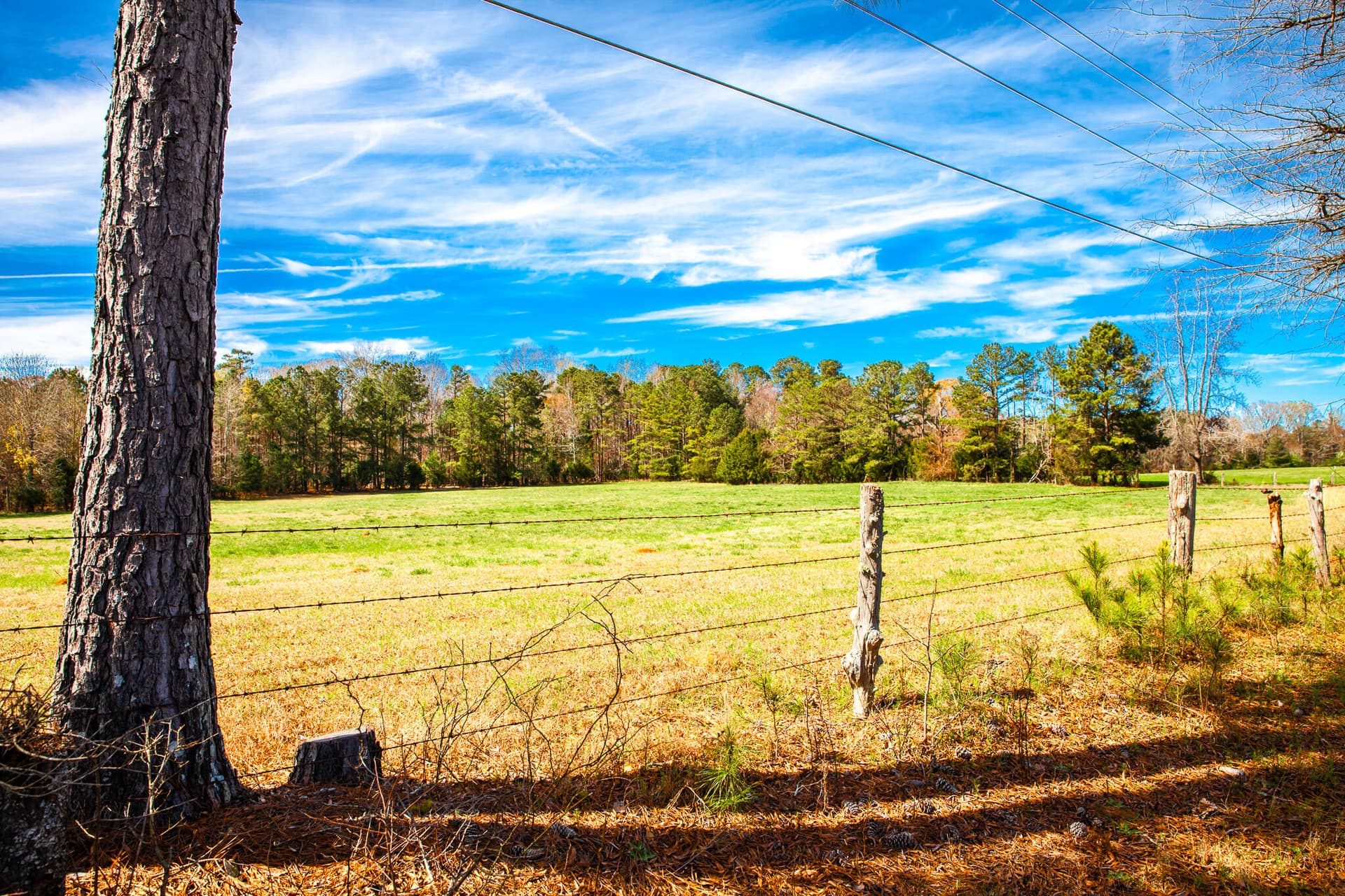 Undeveloped at 3520 3 Mistletoe Rd Road, Appling, GA 30802, photo 12 of 12