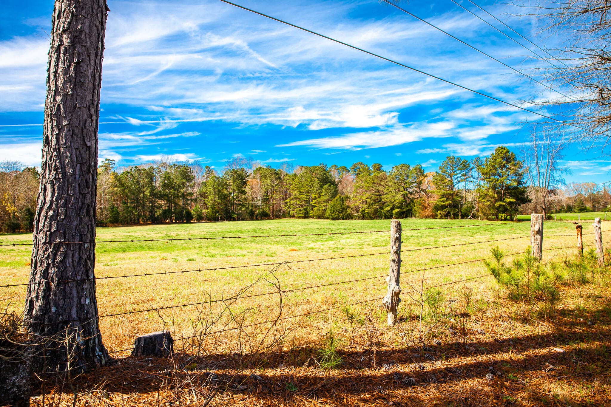 Undeveloped at 3520 3 Mistletoe Rd Road, Appling, GA 30802, photo 12 of 12