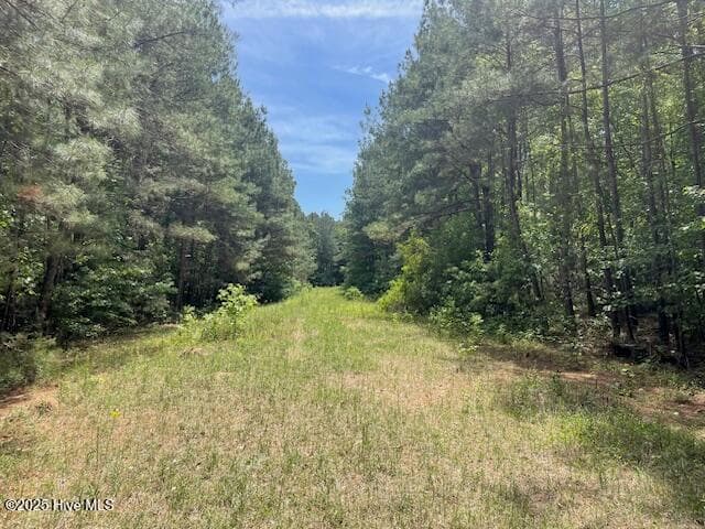 62 Live Oak Drive, Elizabethtown, NC 28337